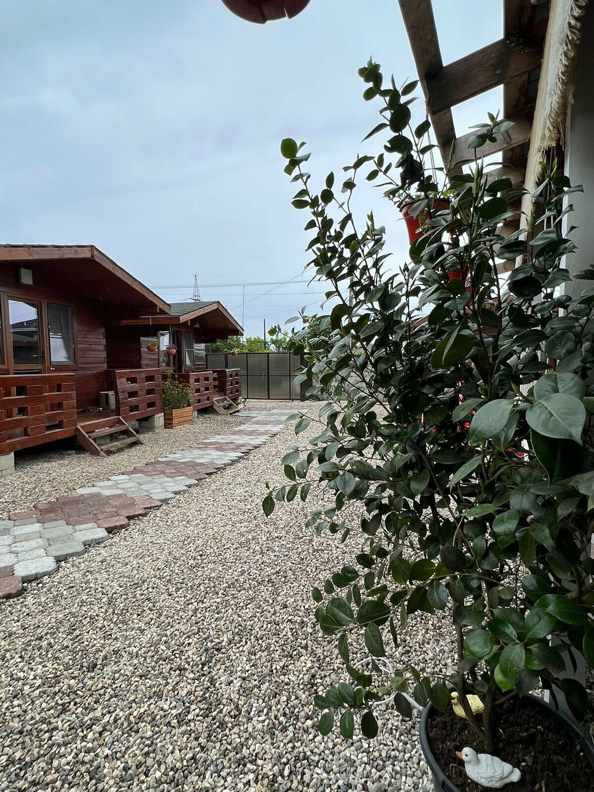 Двухместный номер с 2 отдельными кроватями и ванной