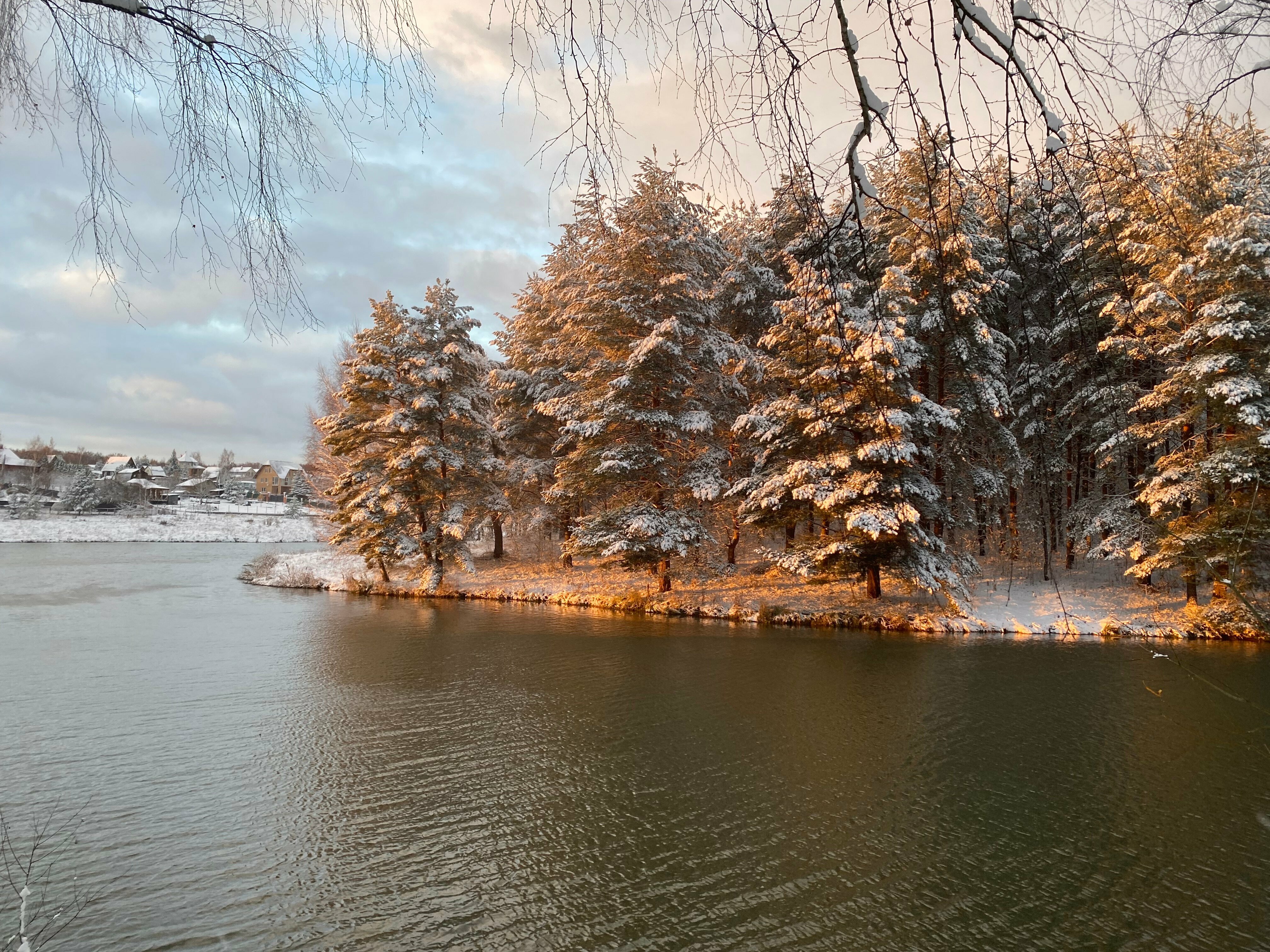 Дом с видом на лес