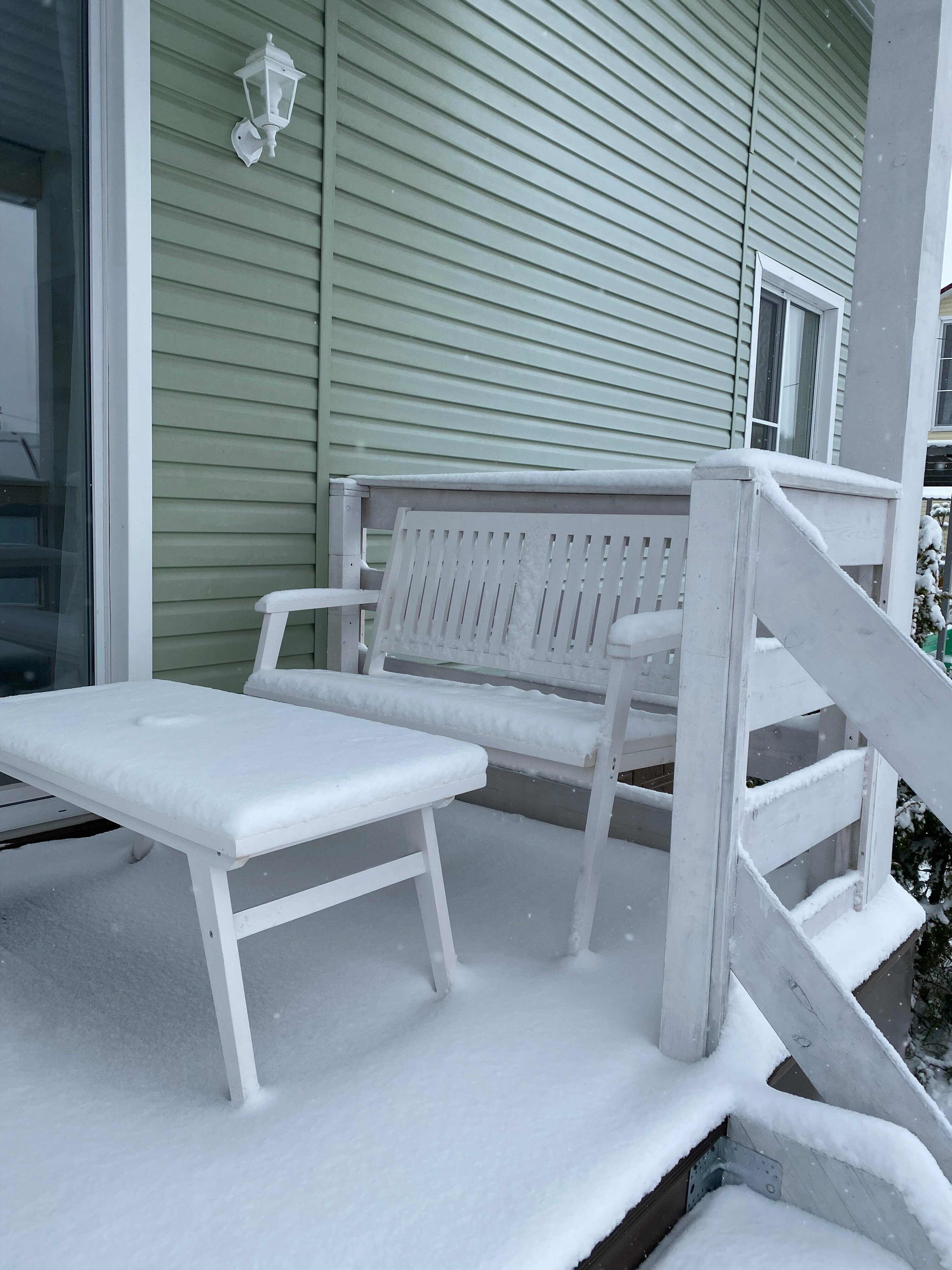 Дом с видом на лес