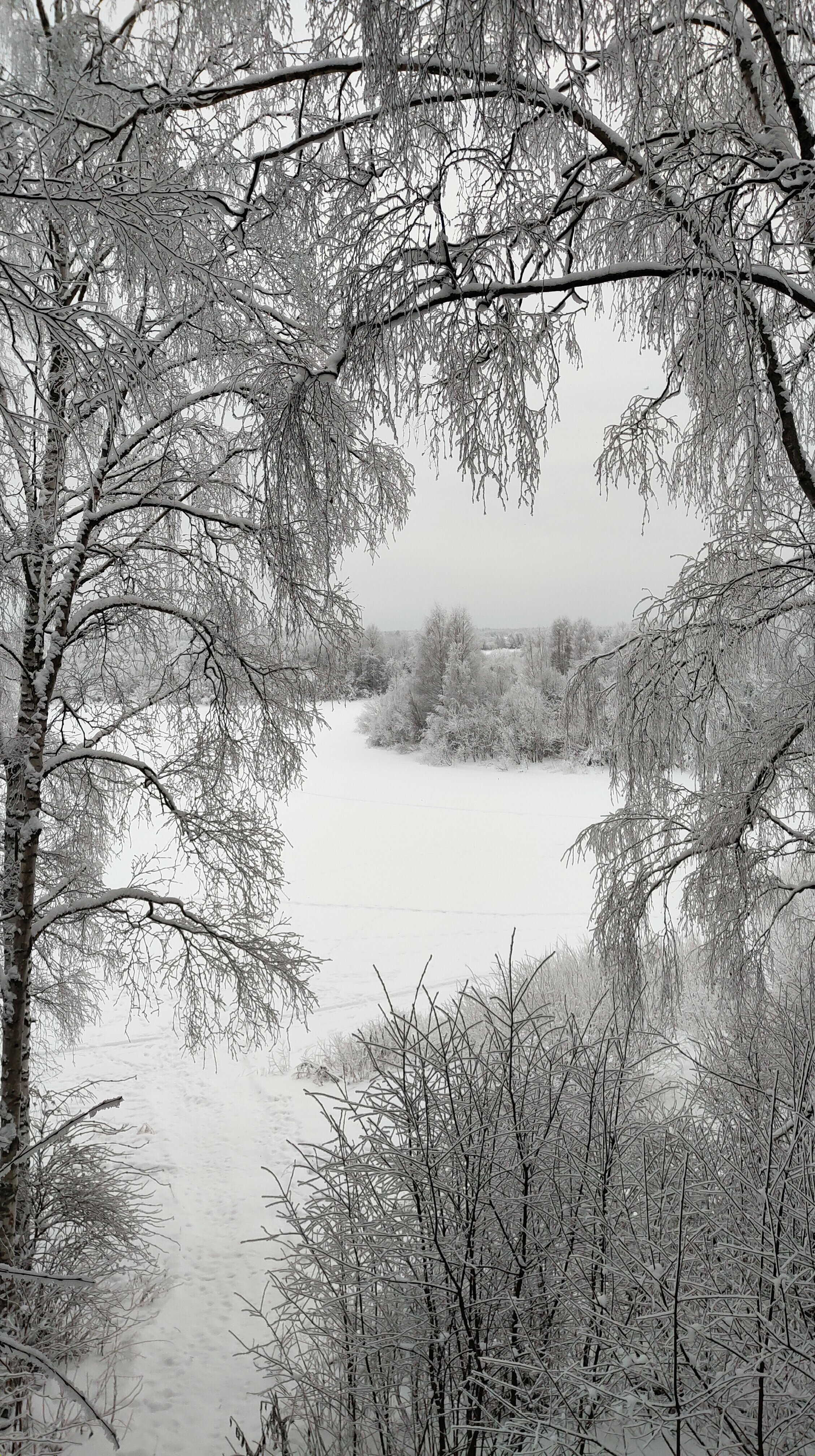 Семейный номер с видом на озеро