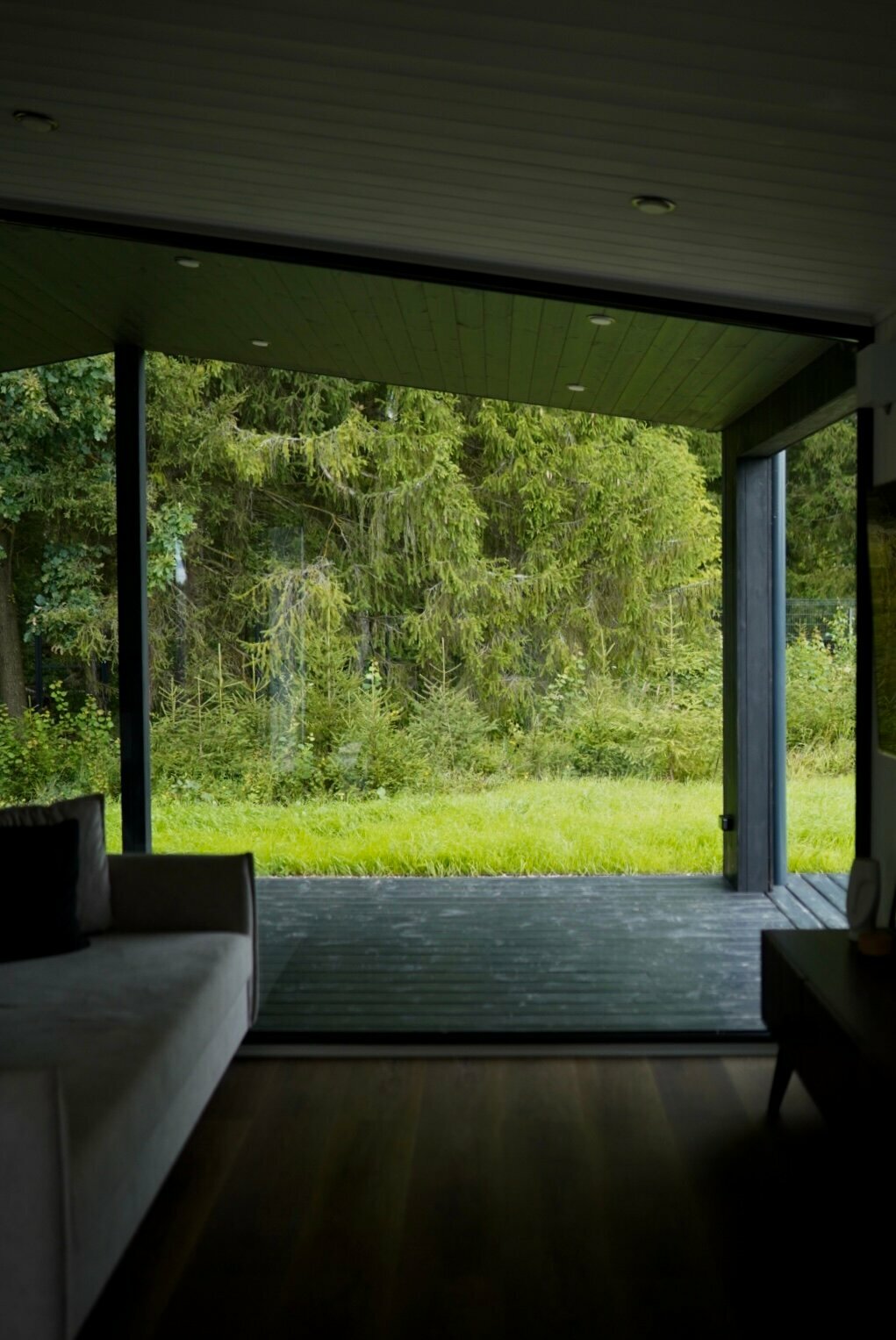 Дом с видом на лес