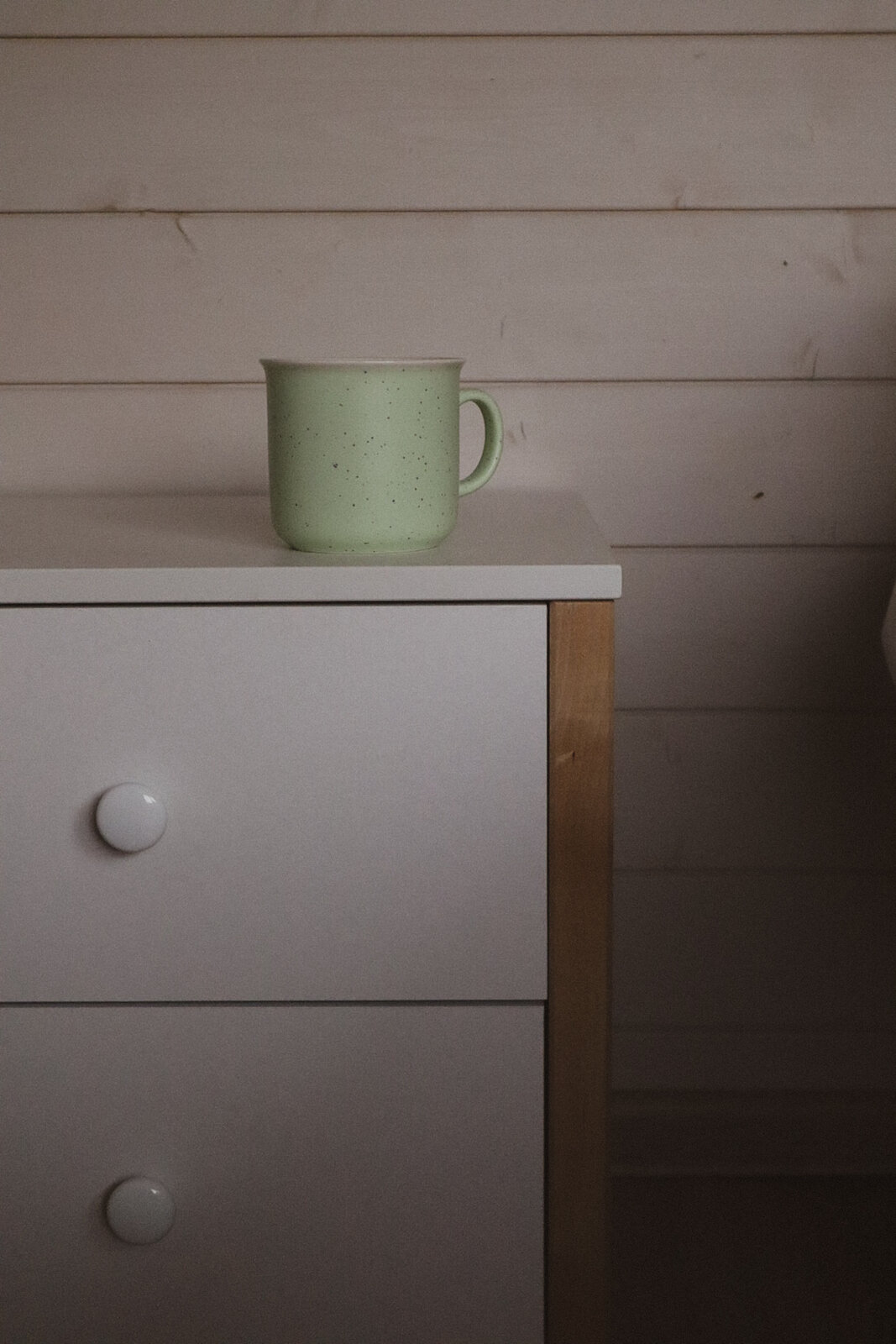 Лесной семейный коттедж с купелью