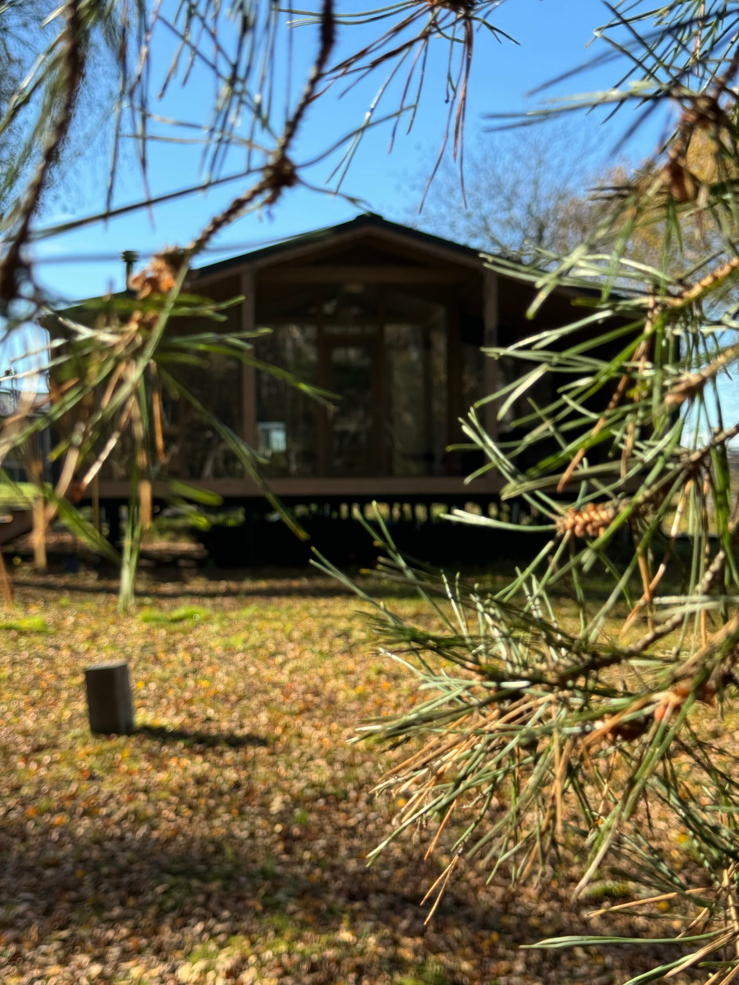 Шале с 3 спальнями