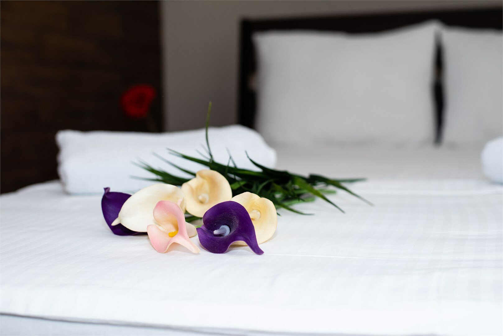 Бюджетный двухместный номер (5 этаж без лифта)