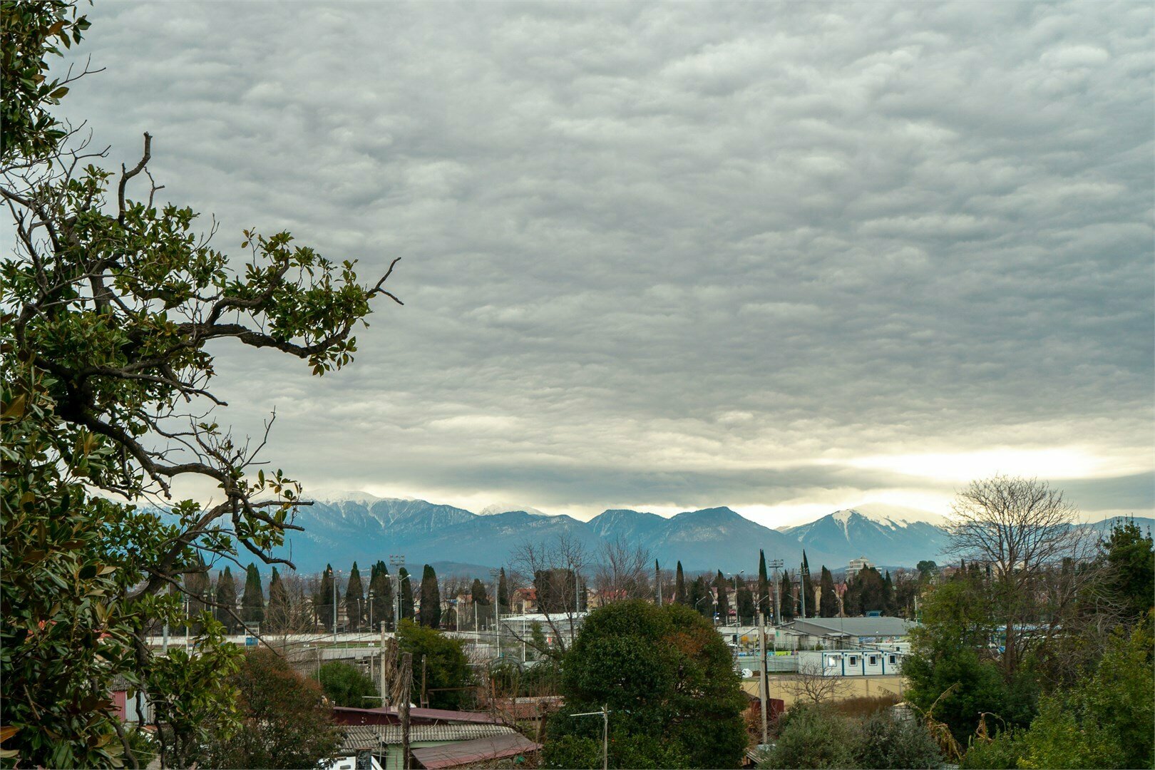 Стандарт одноместный