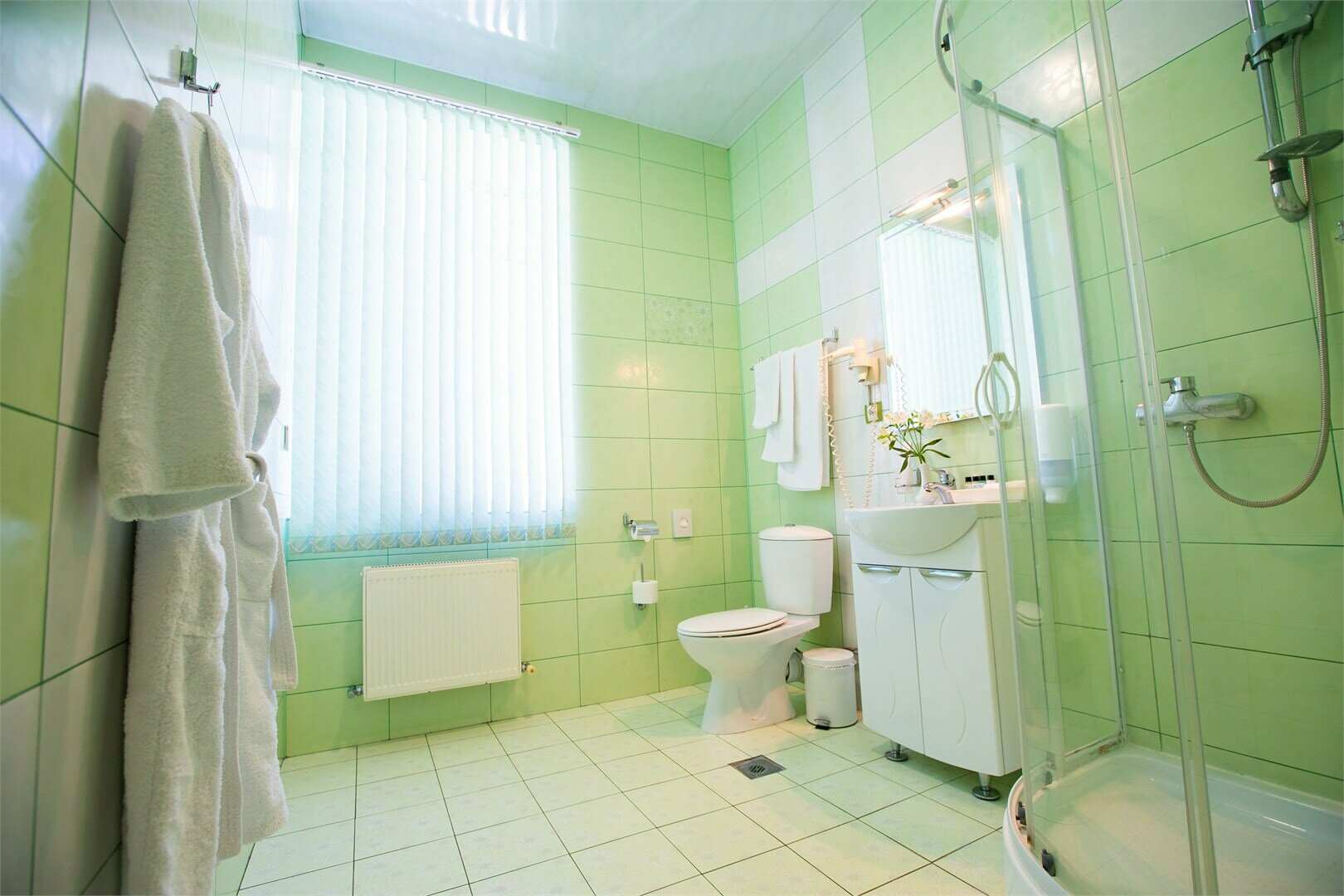 Двухместный номер Делюкс с 1 кроватью