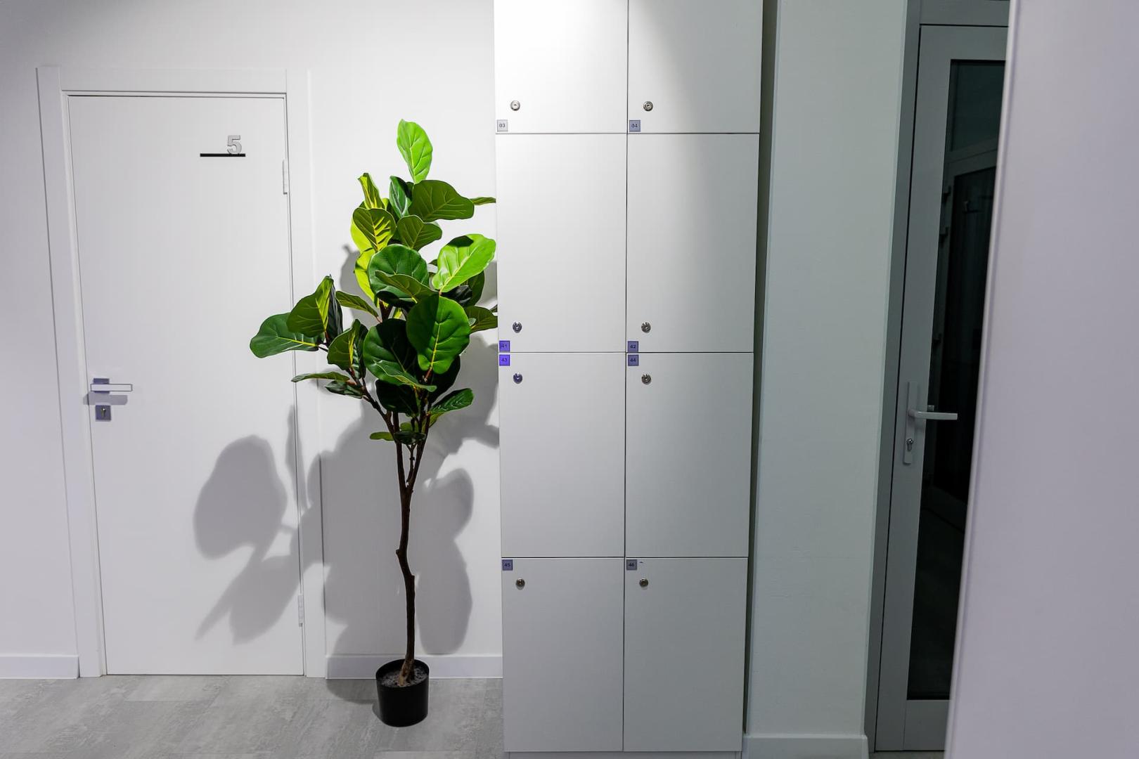 Женская капсула