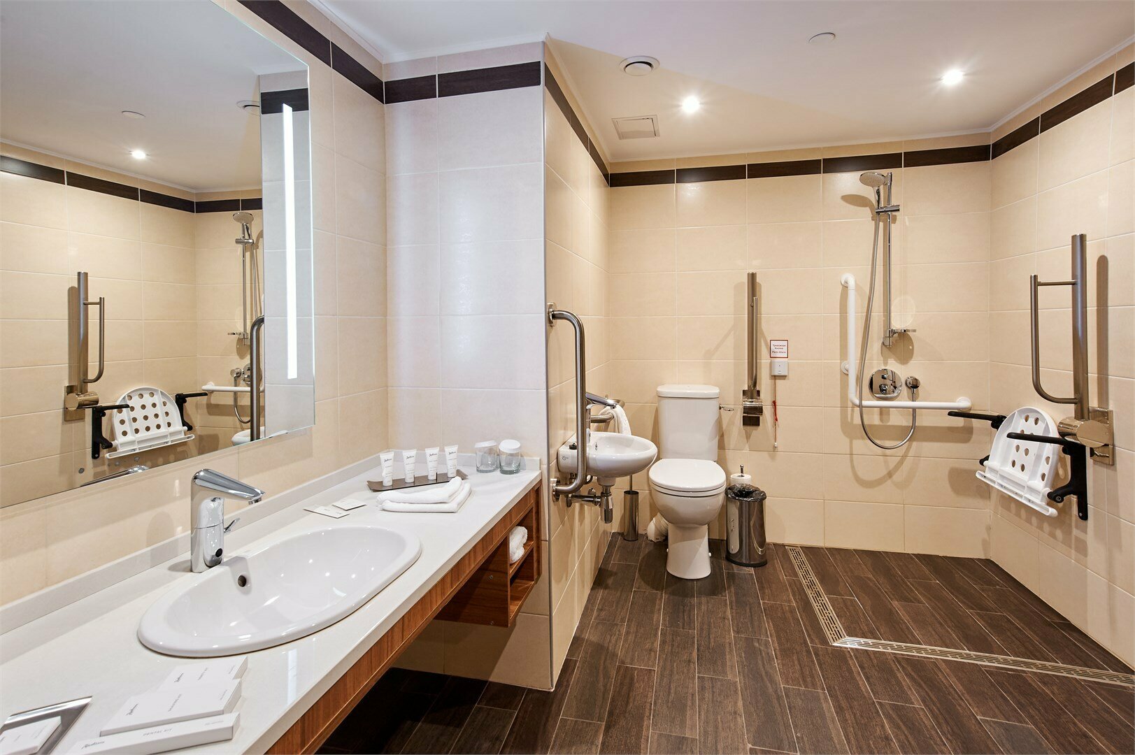 Стандартный номер с кроватью размера "queen-size" для маломобильных граждан