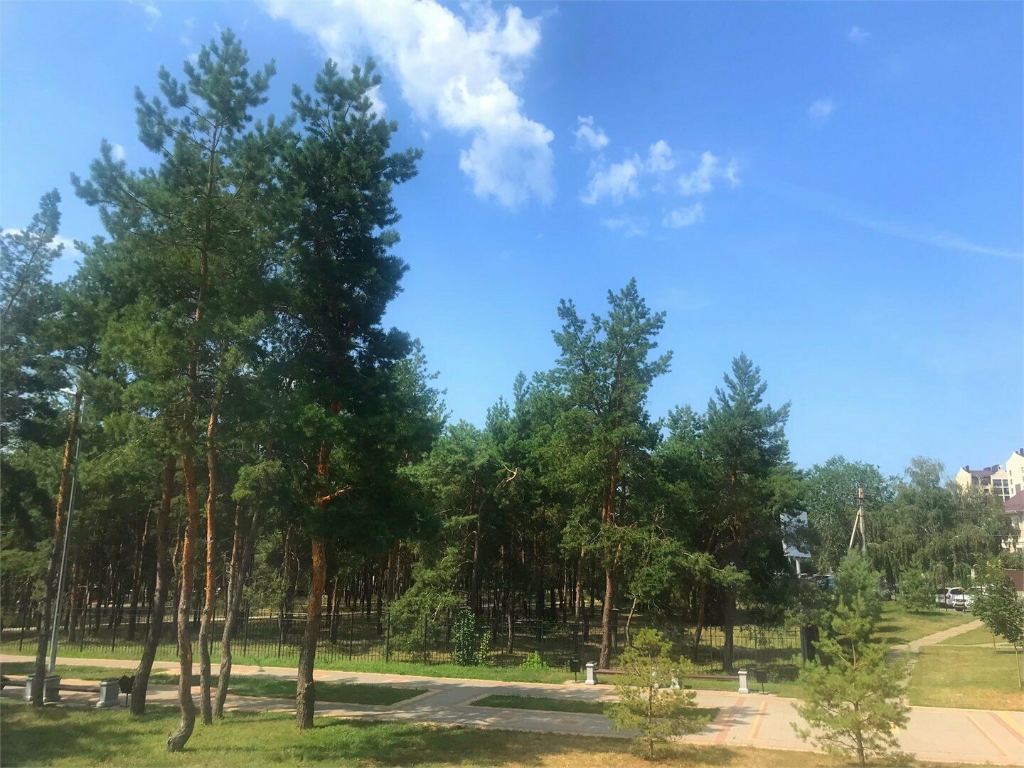 Люкс с видом на город и парк