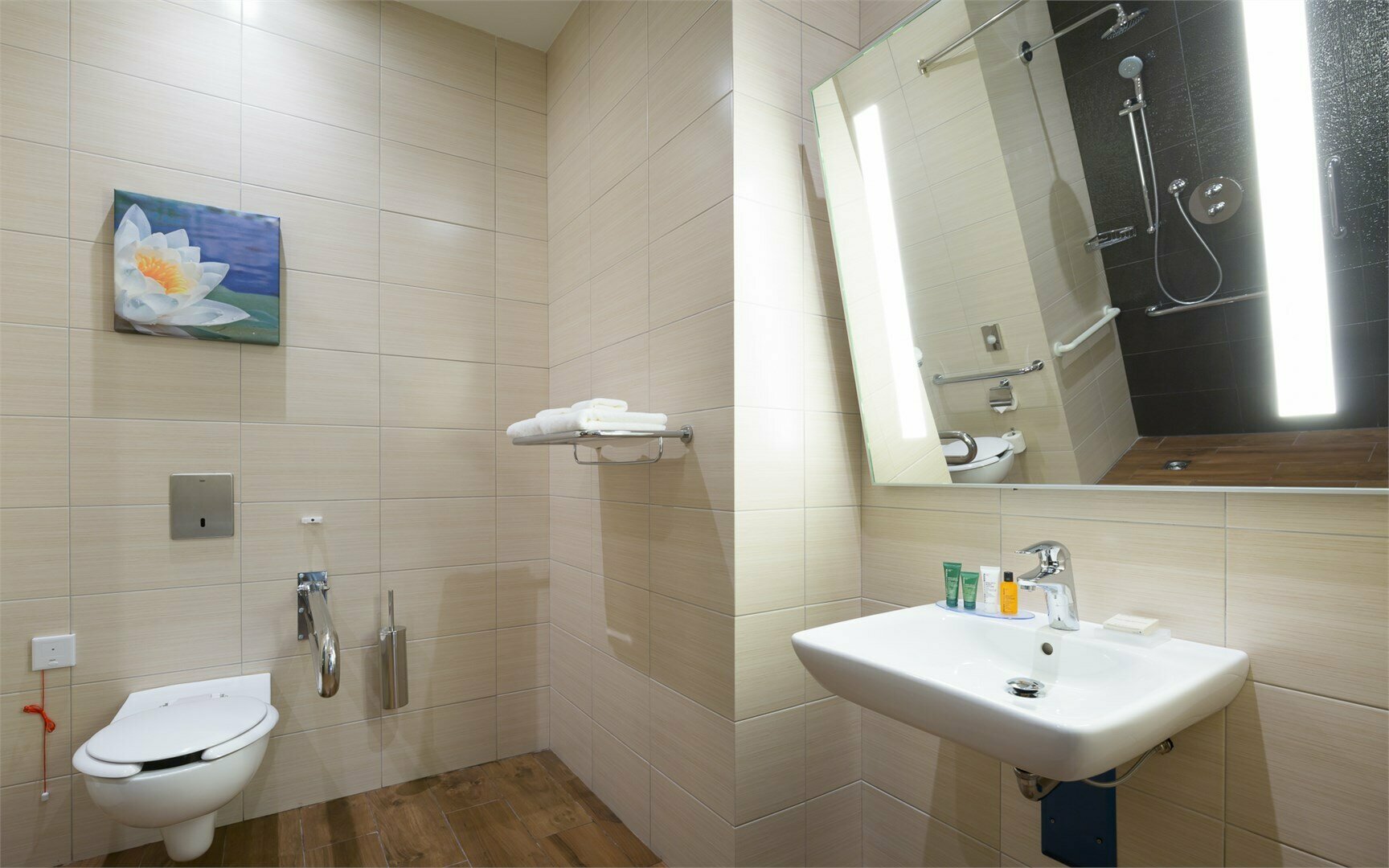 KING ACCESSIBLE ROOM