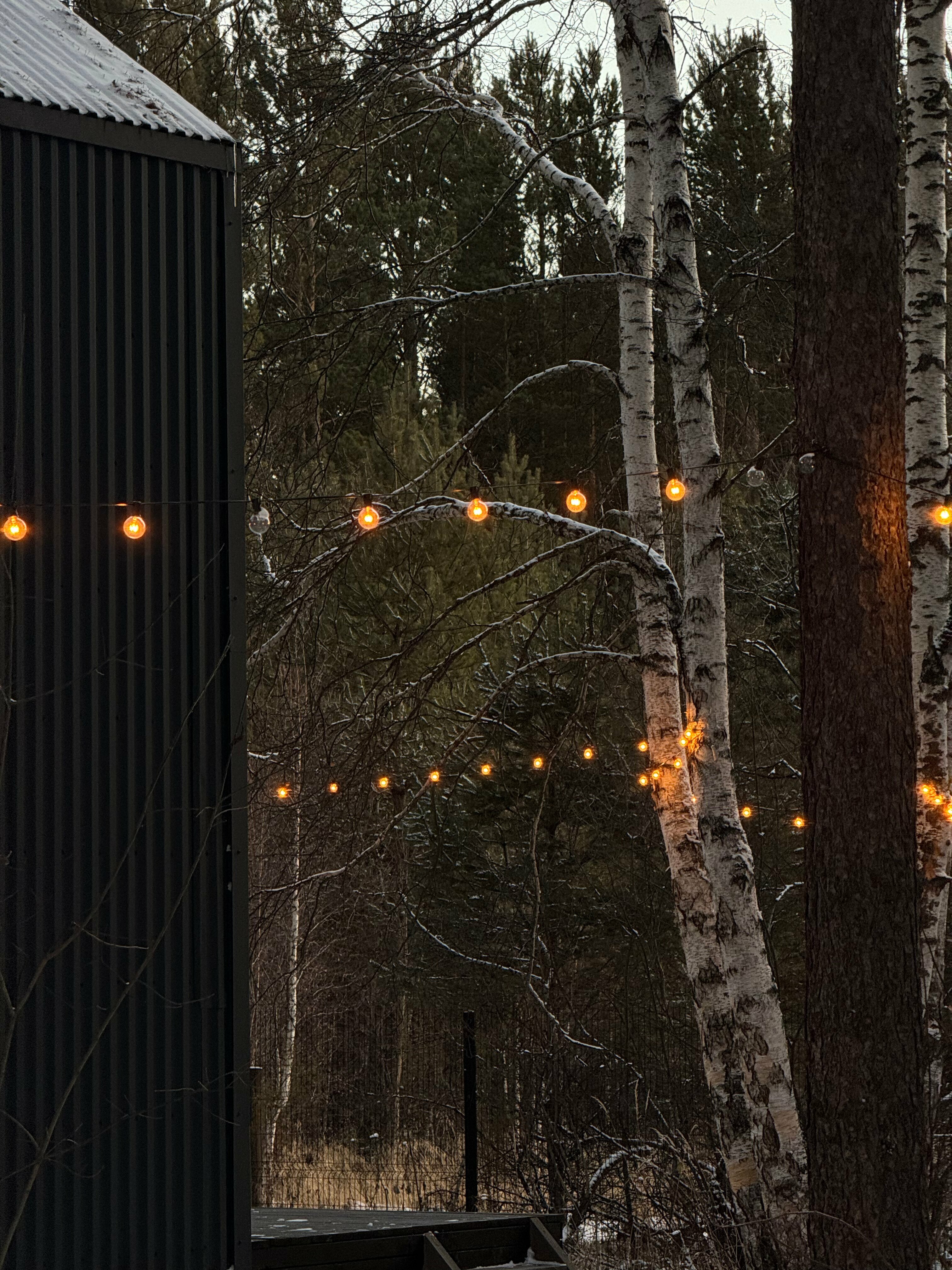 Дом с видом на лес