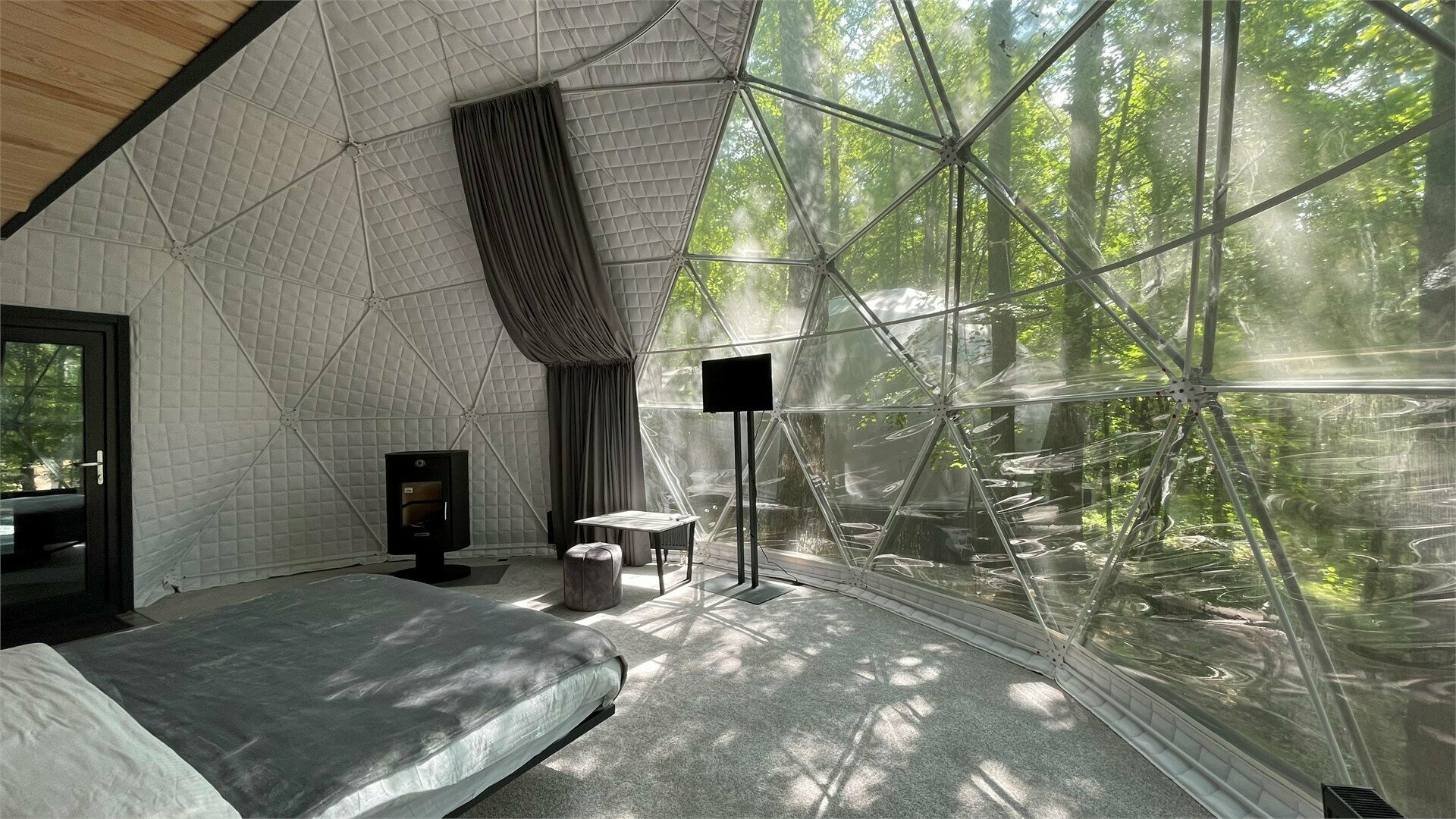 Геокупол лес