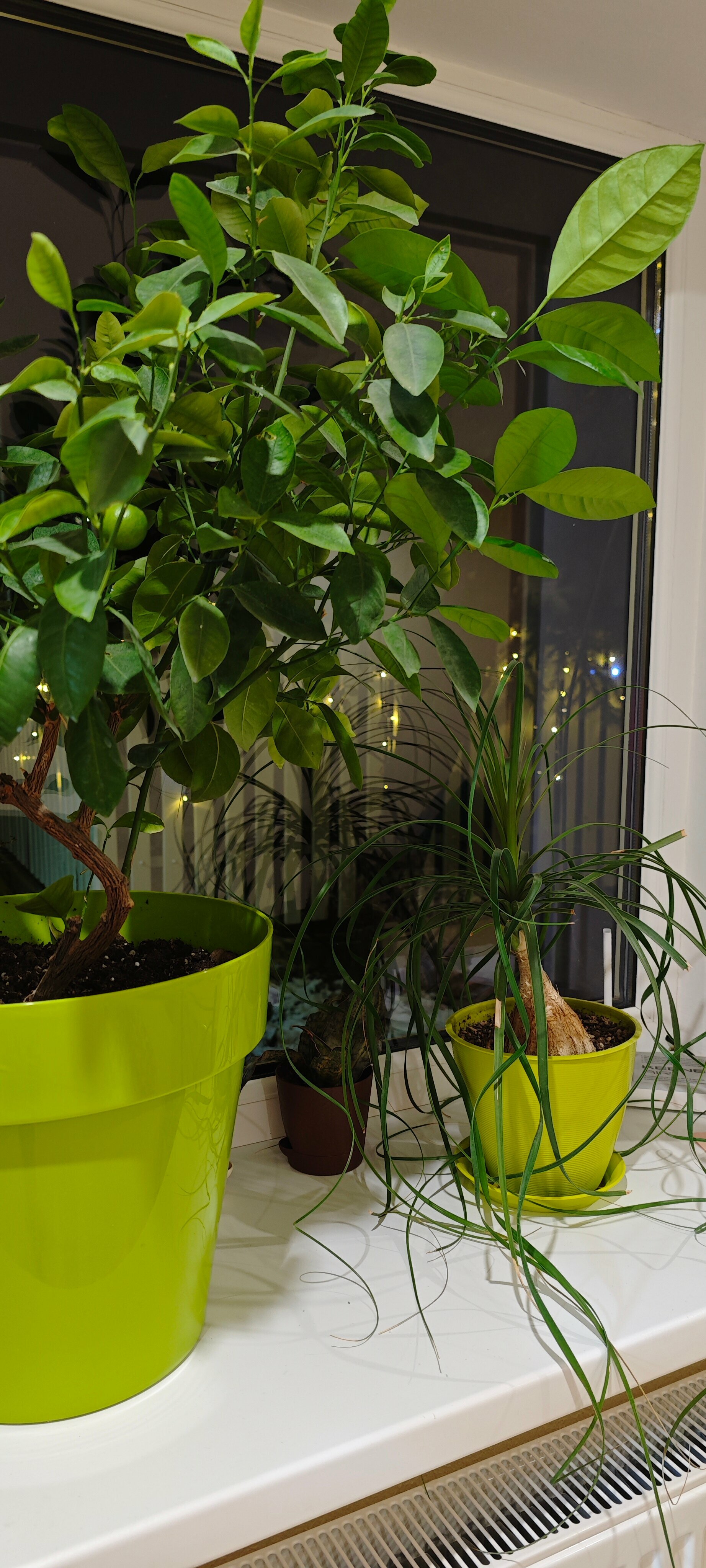 Двухместный номер с 2 двуспальными кроватями