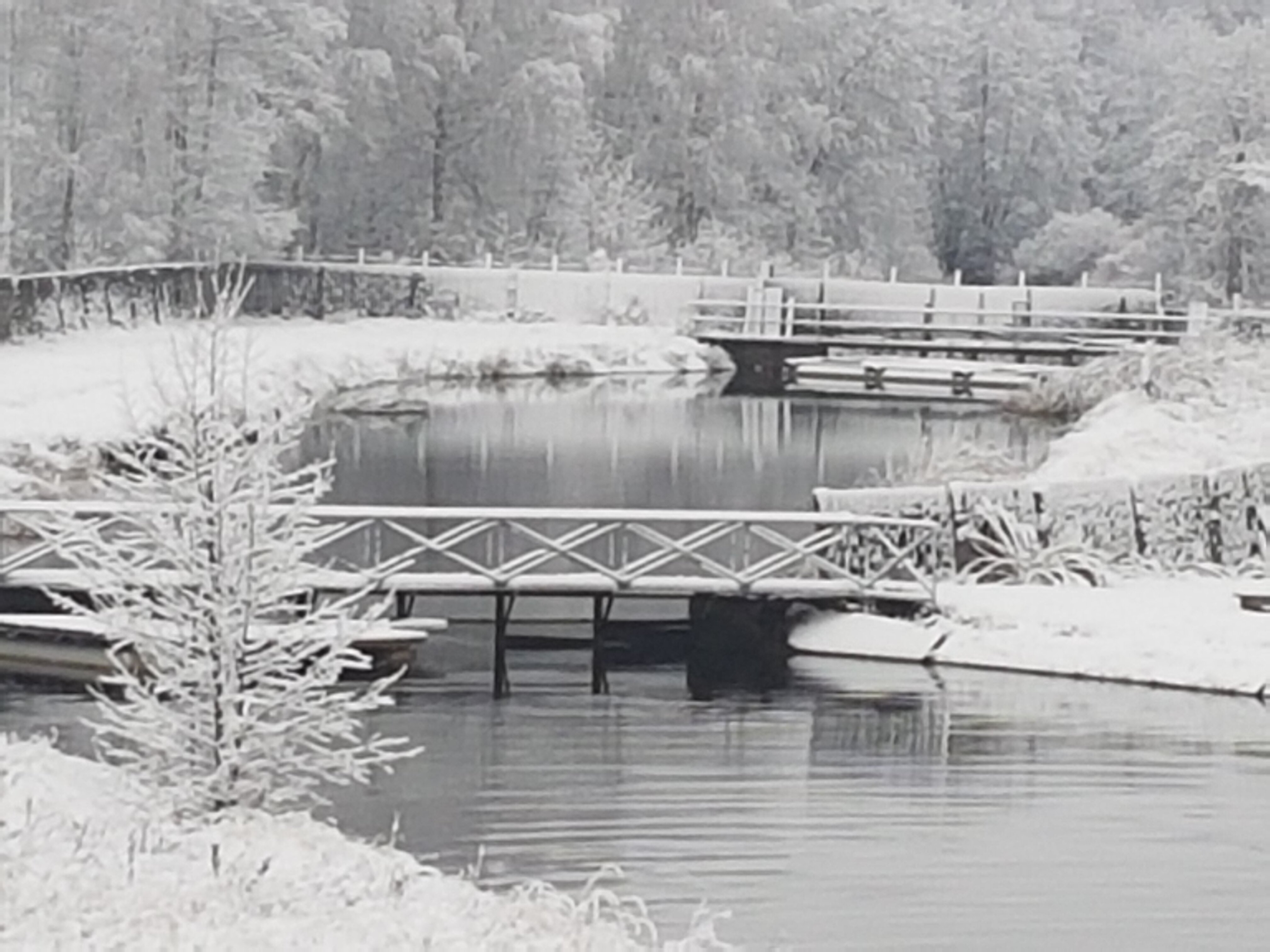 Четырехместный номер