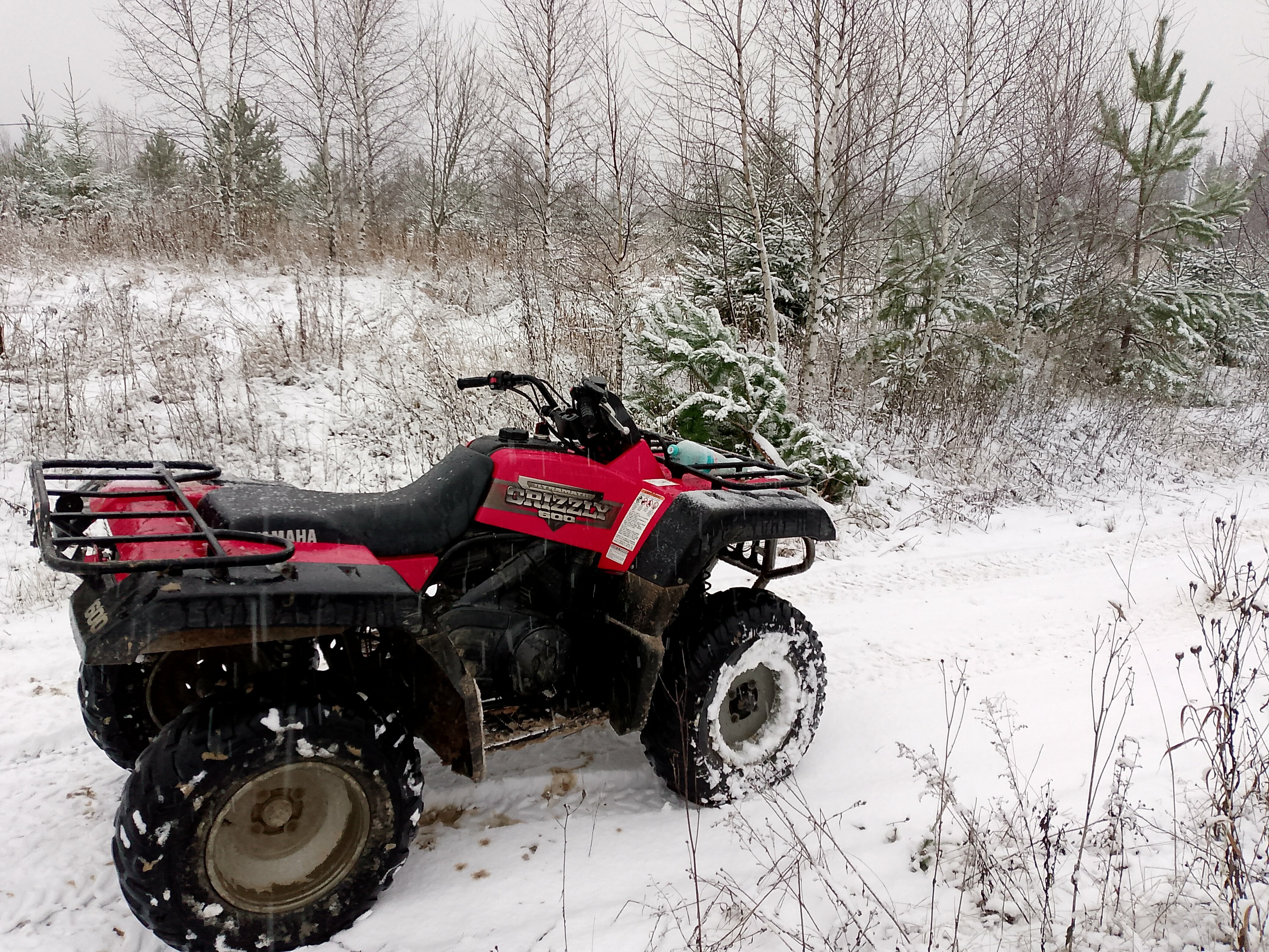 Двухместный номер с 1 кроватью и видом на сад
