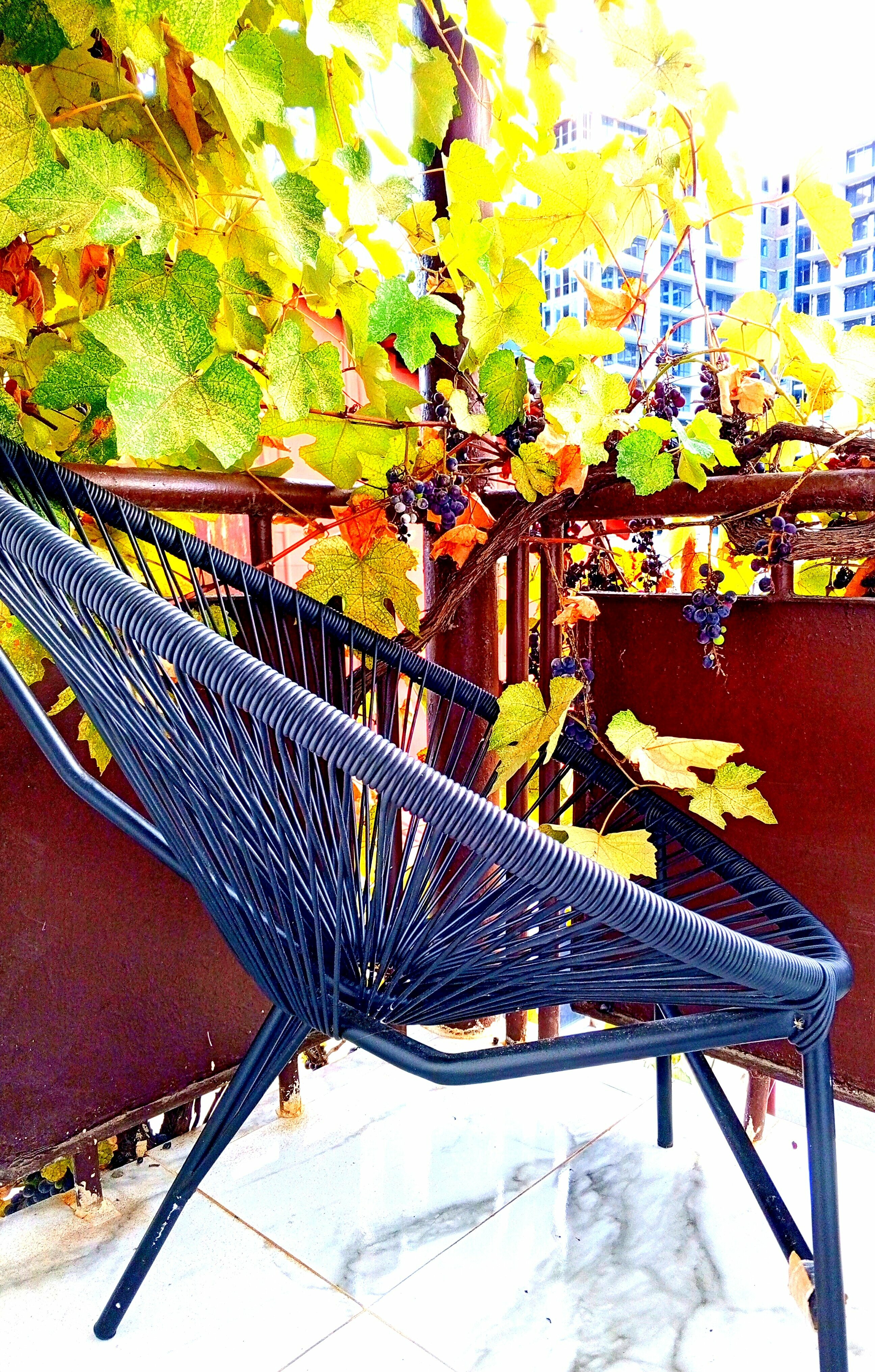 Семейный номер с балконом