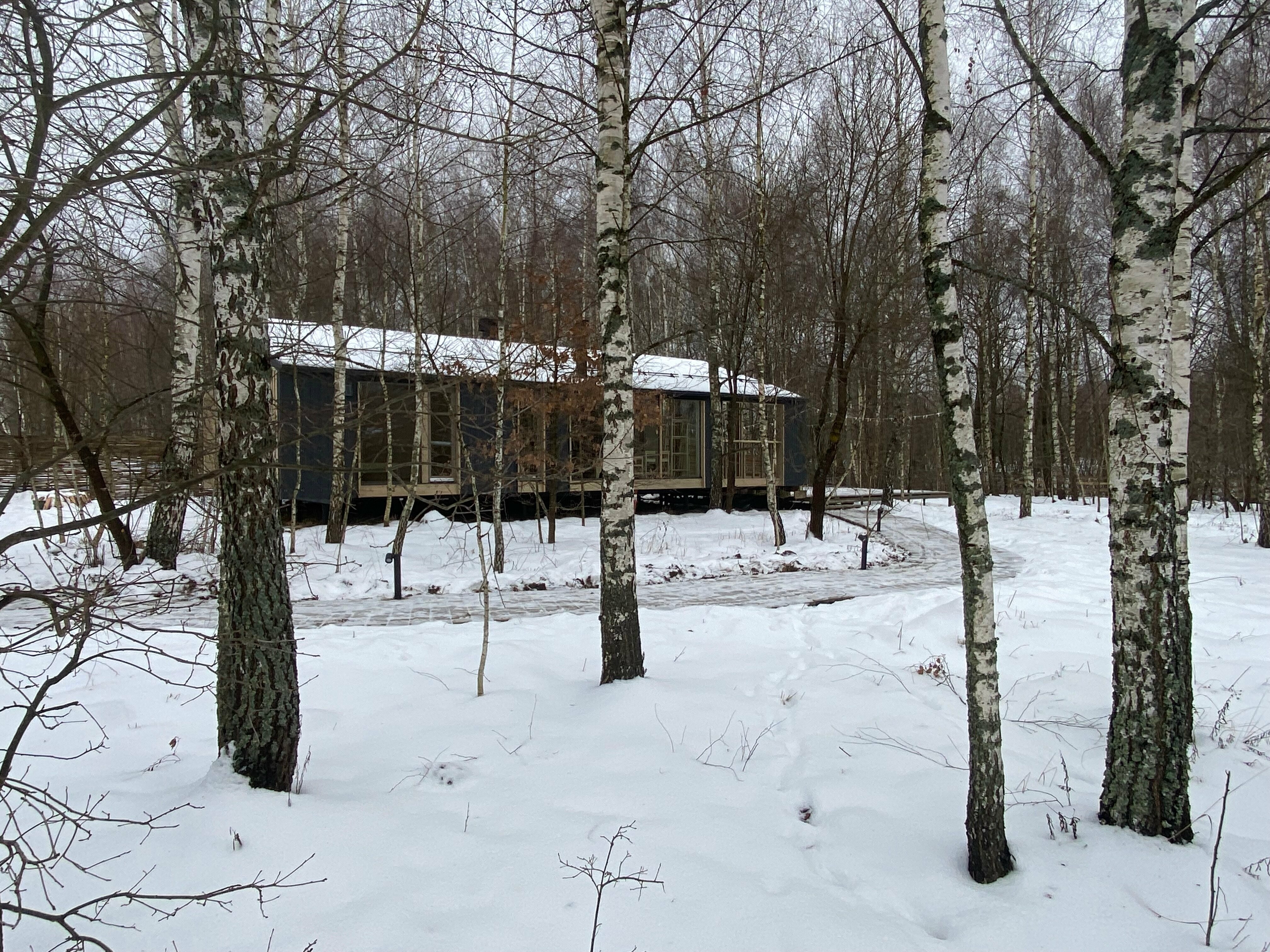 Дом с видом на лес