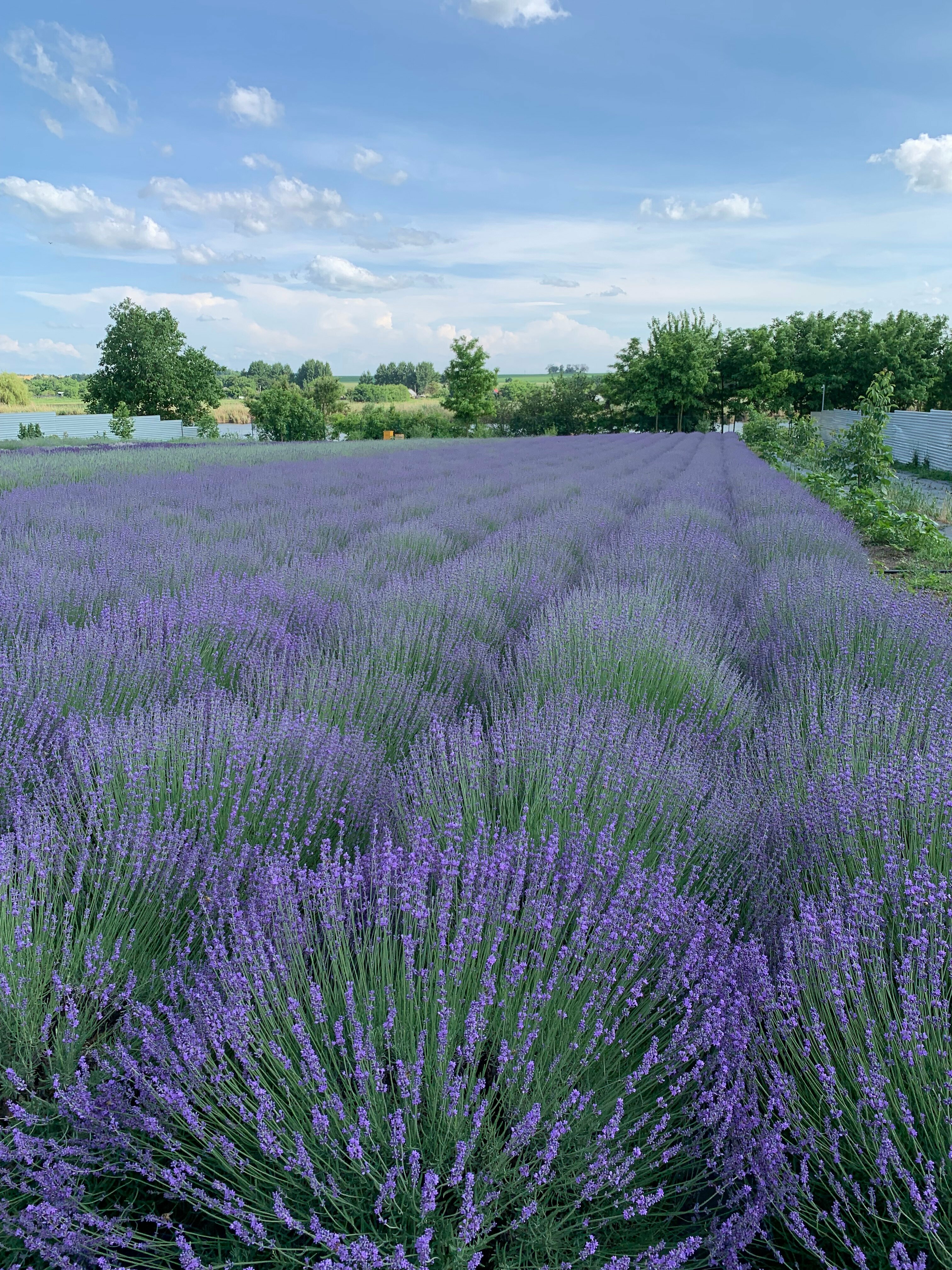 Дом с 3 спальнями