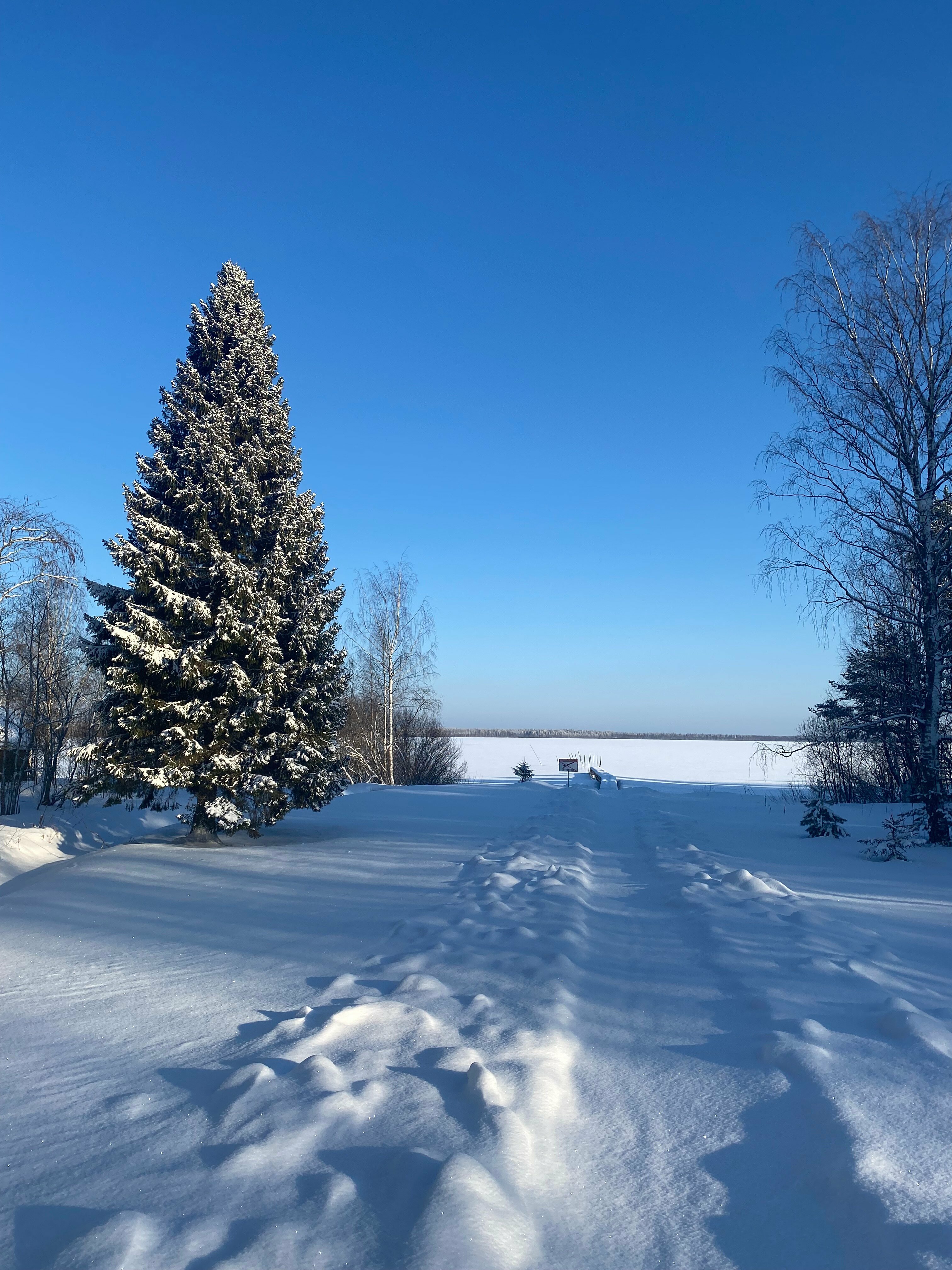 Коттедж с видом на озеро