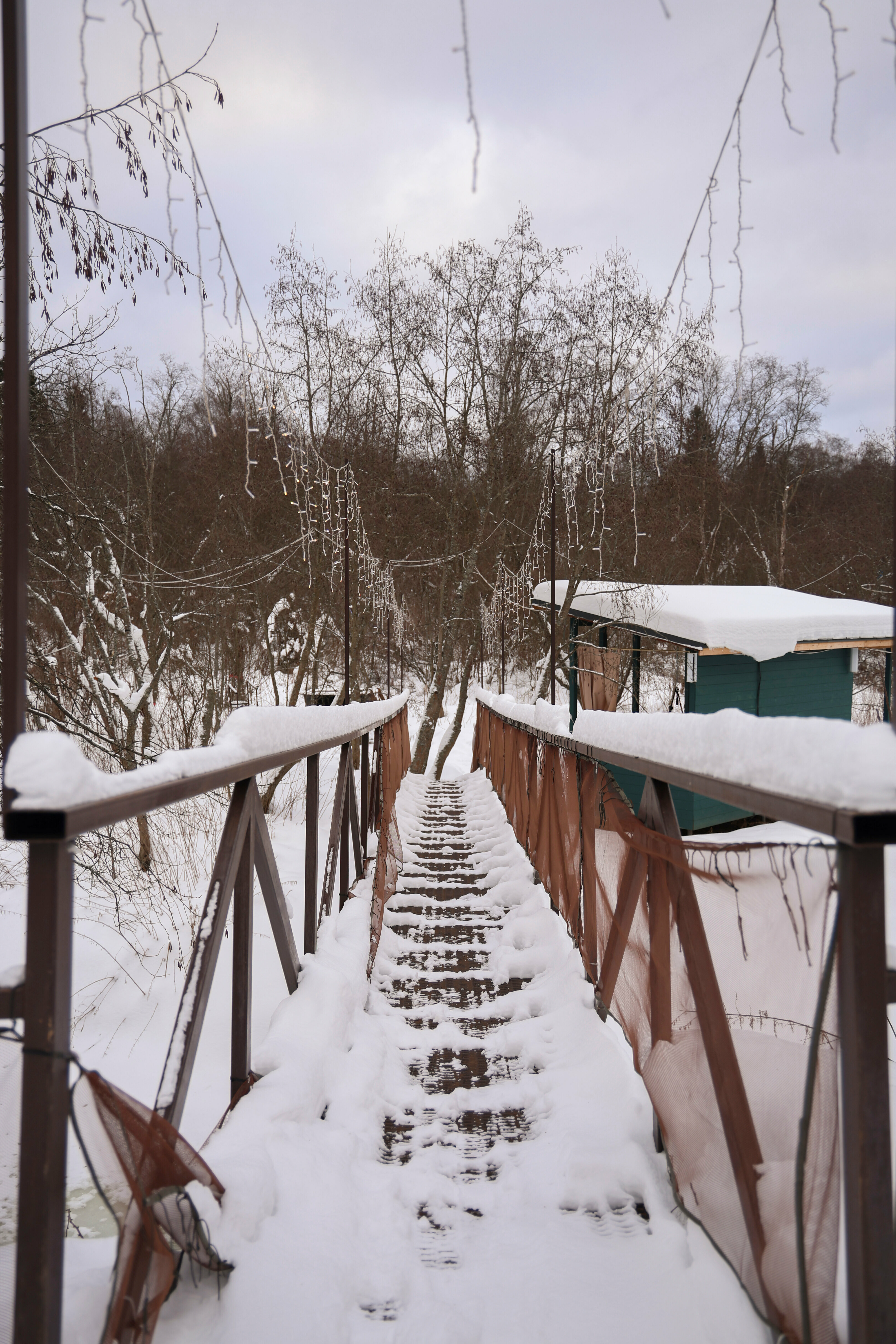Дом с видом на лес