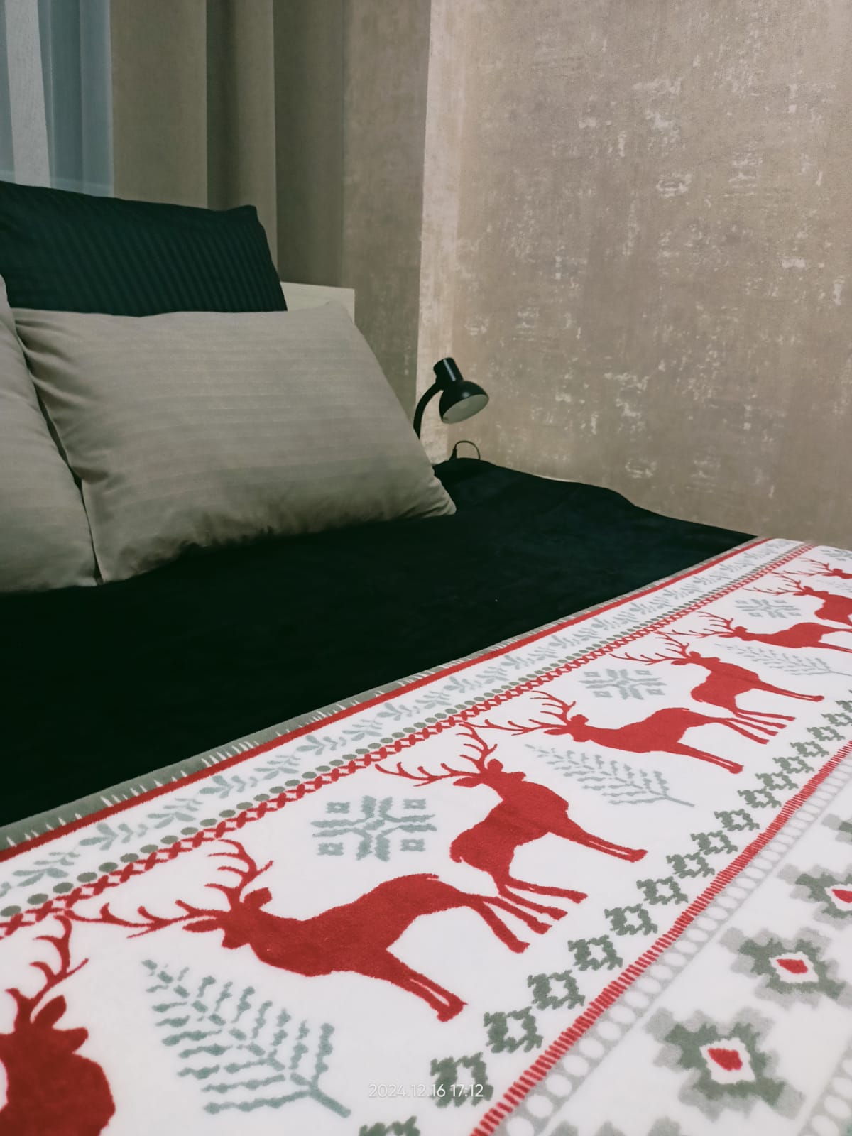 Двухместный номер с 1 кроватью