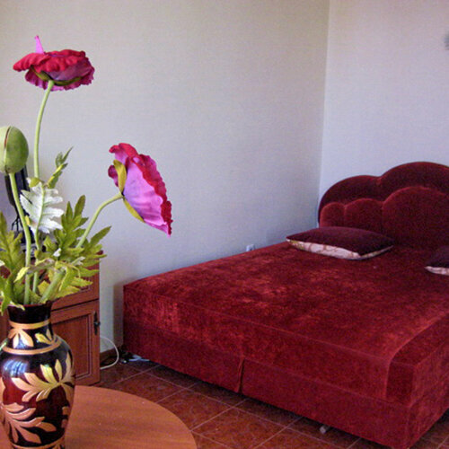 Двухместный номер с 1 кроватью и видом на парк