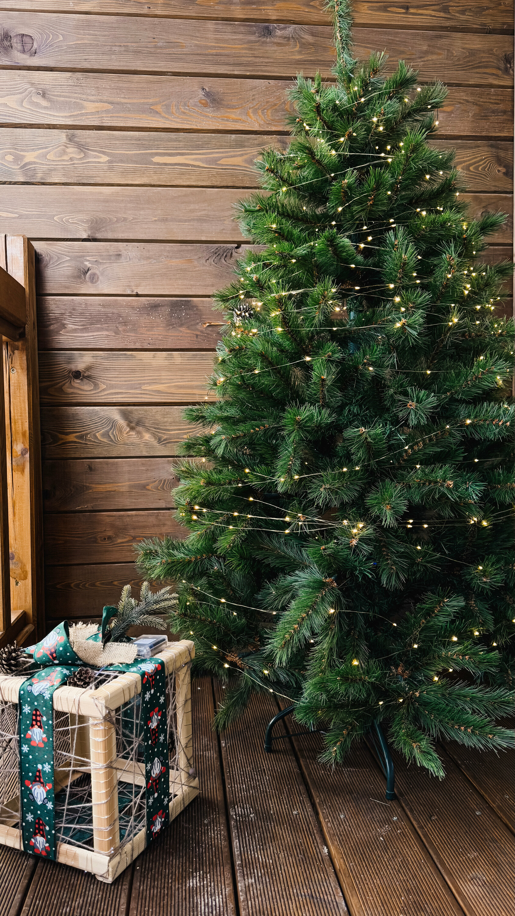 Дом с видом на лес