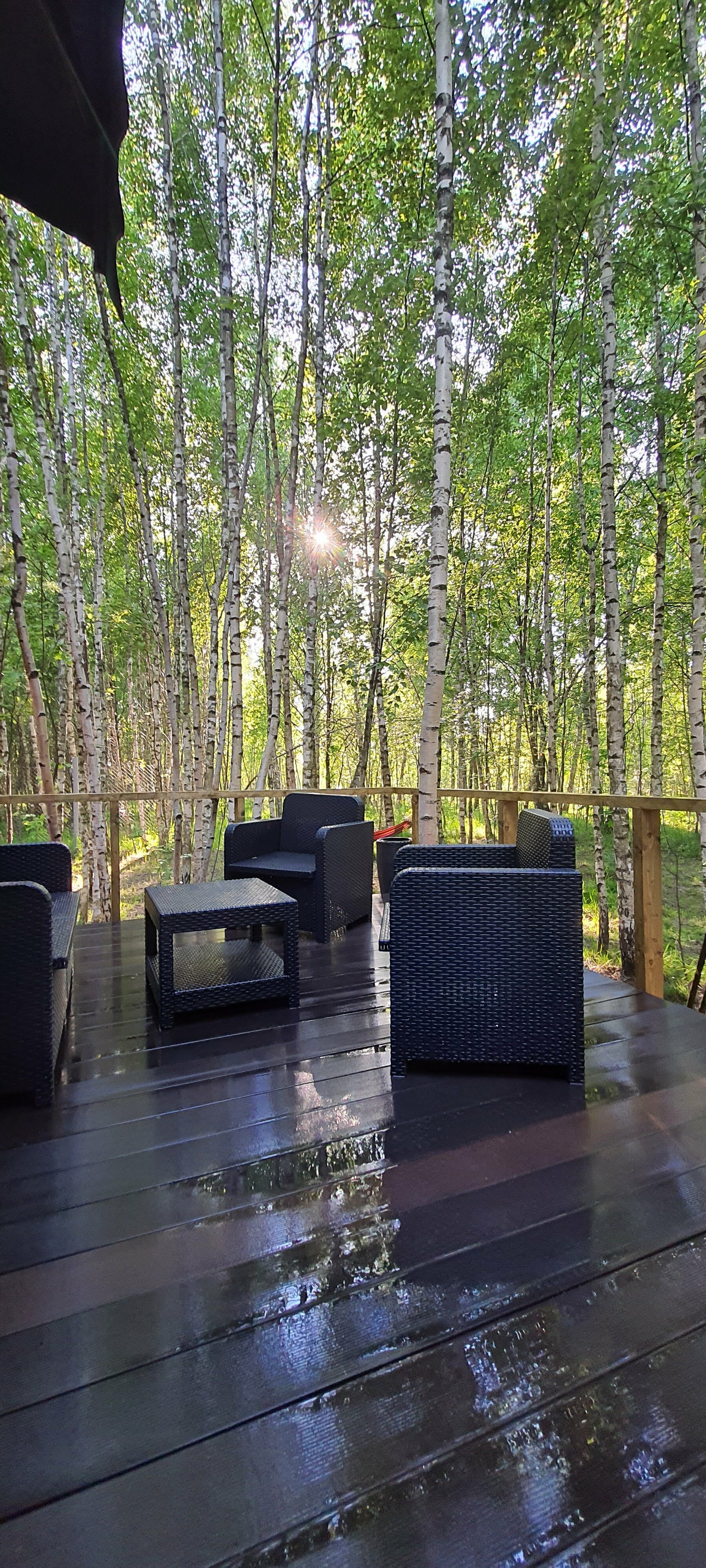 Дом с видом на лес