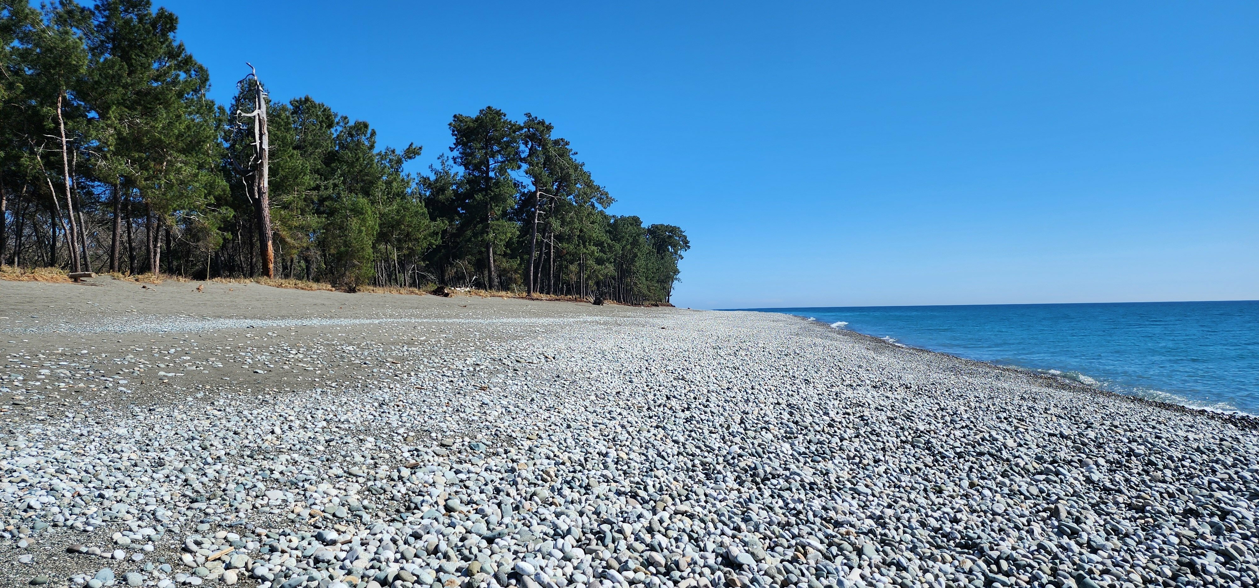 четырехместный"люкс с кухней"