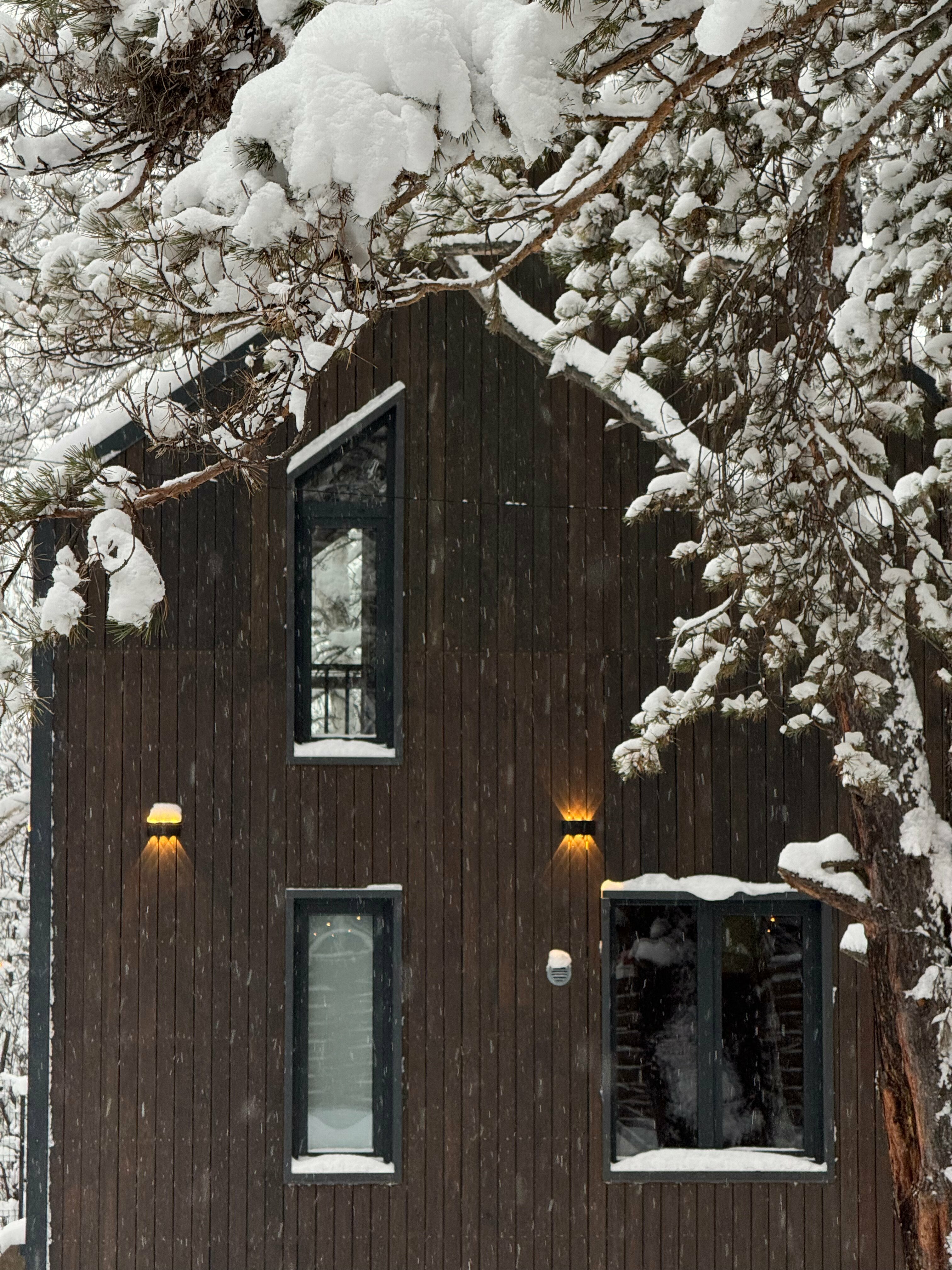 Дом с видом на лес