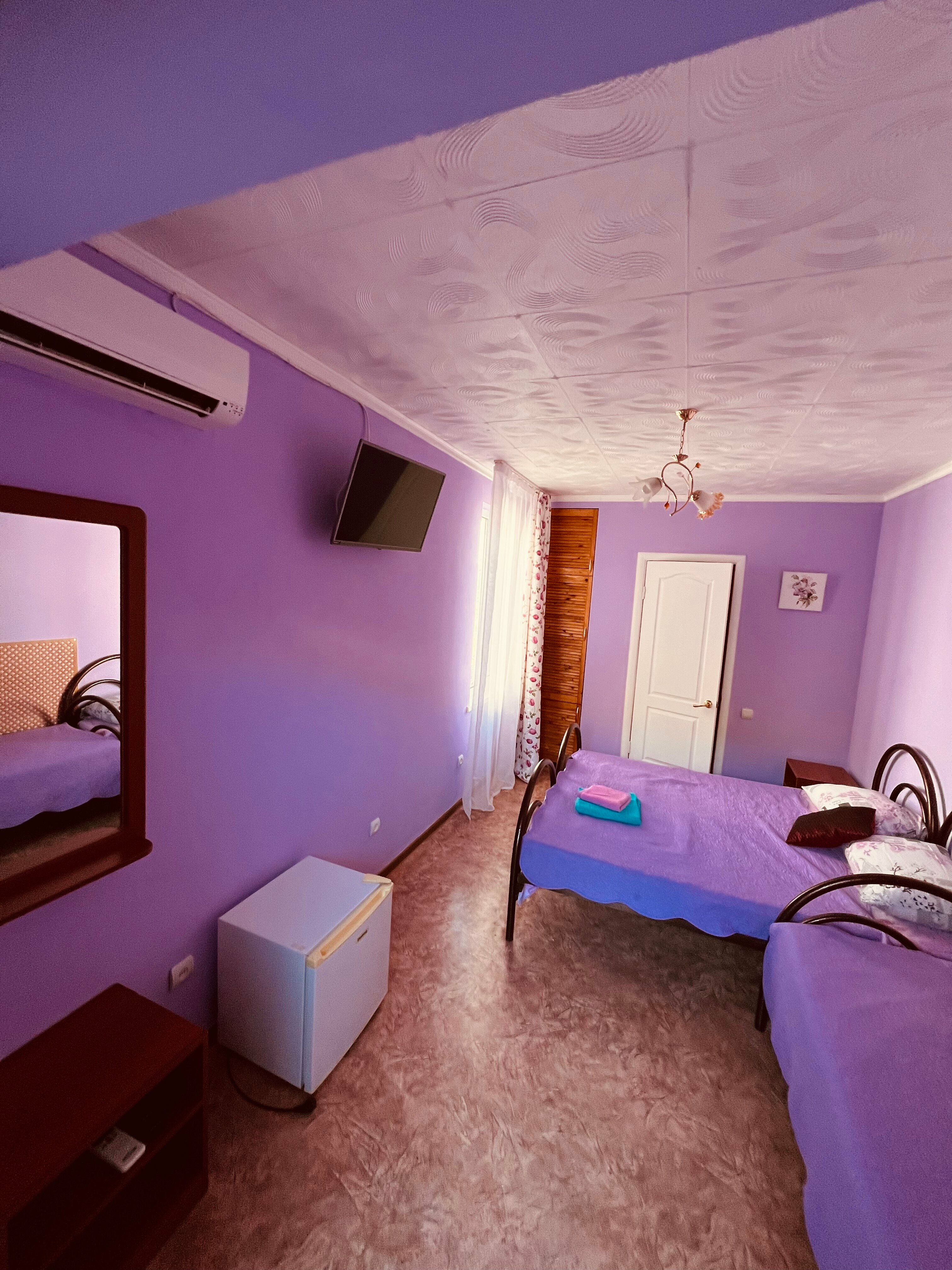 Трехместный Стандарт  с видом на сад №9