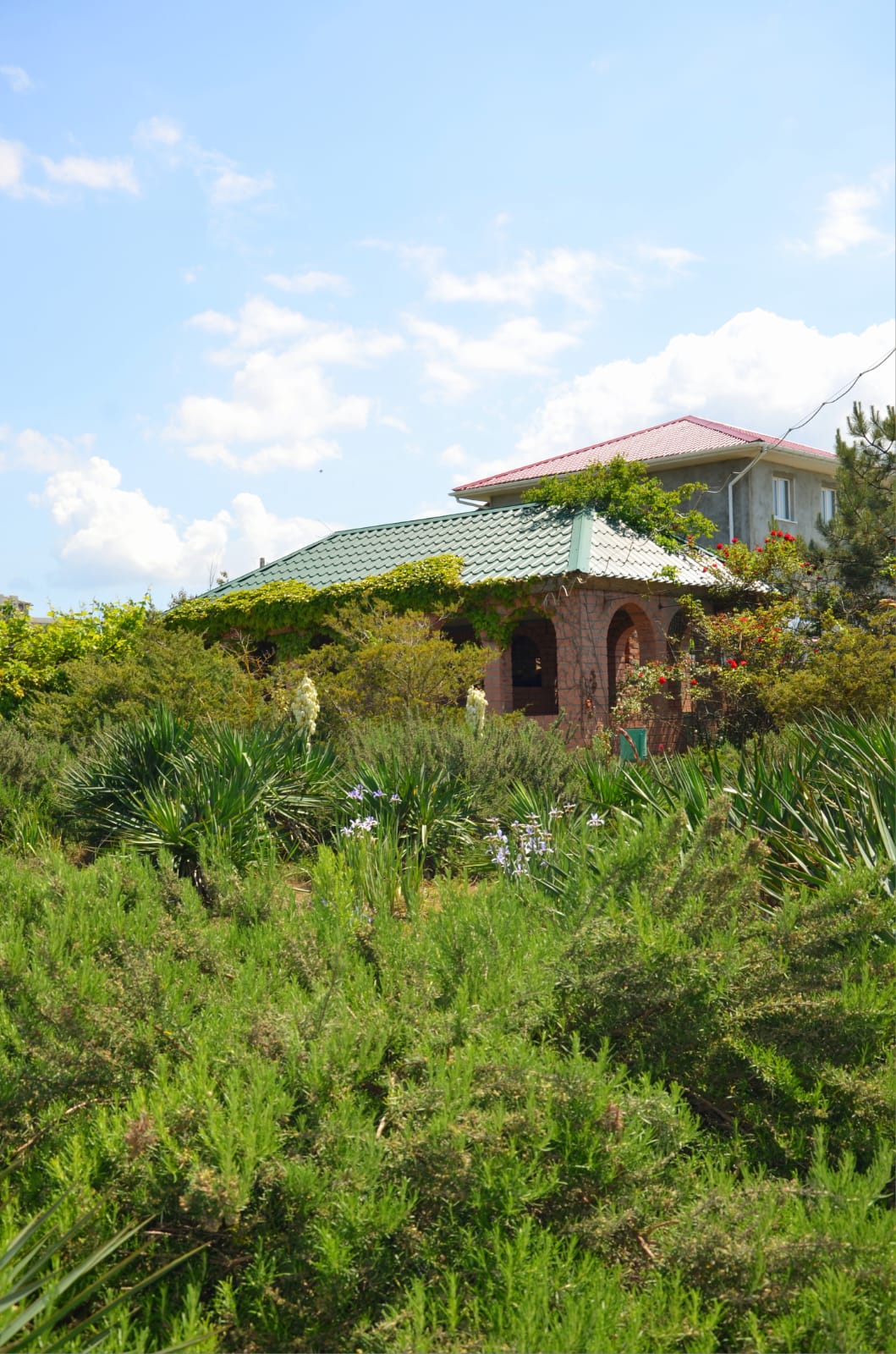 Номер Делюкс с 2 кроватями размера «queen-size»