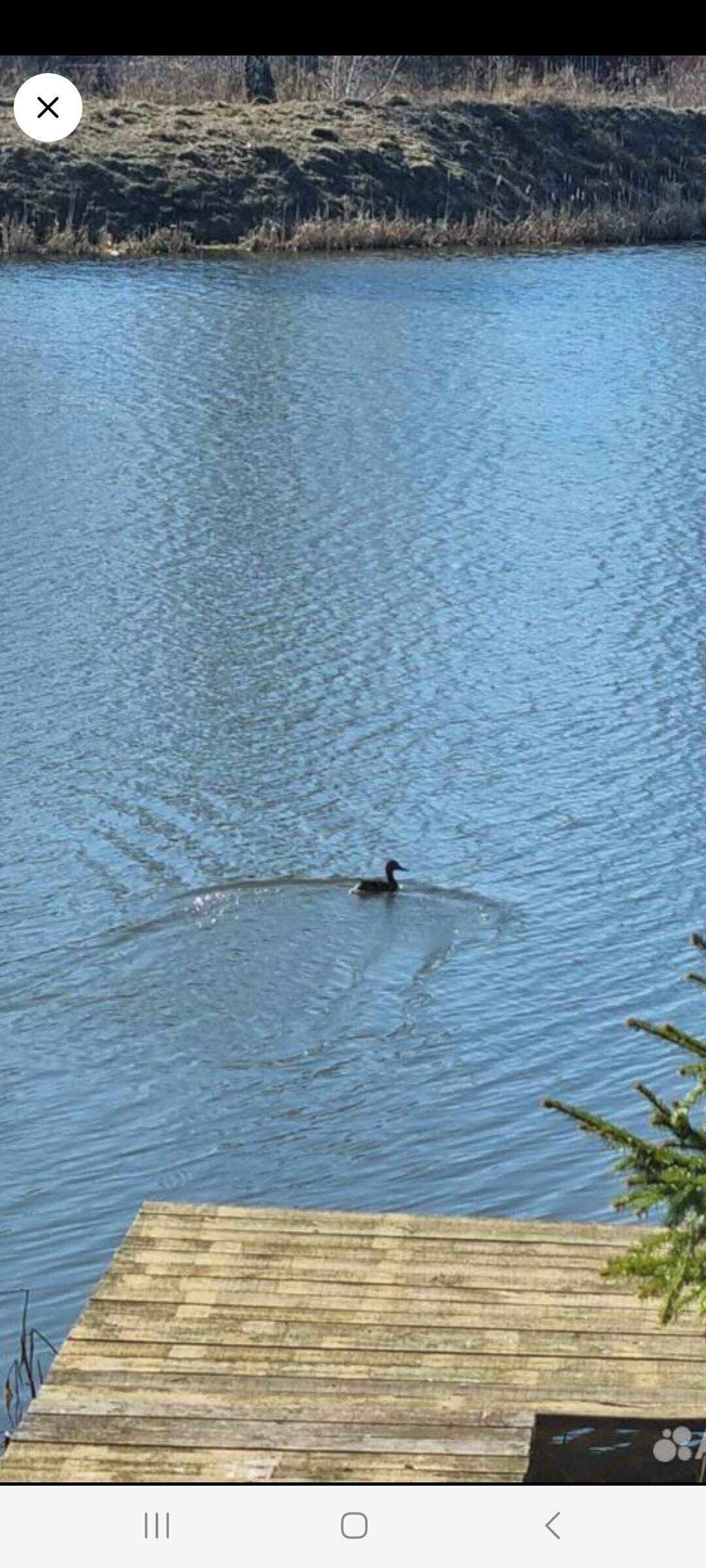 Дом с видом на озеро