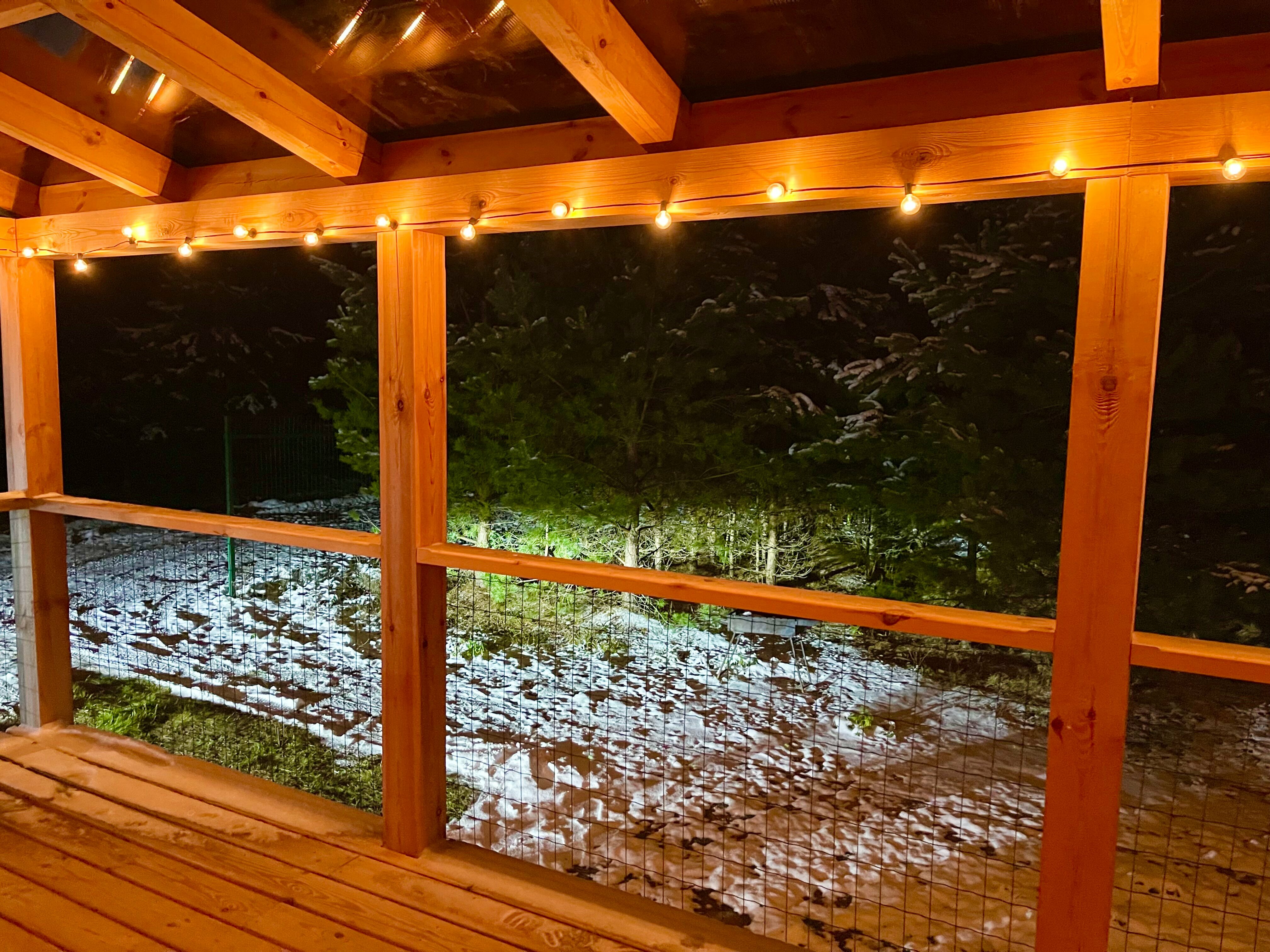 Дом с видом на лес