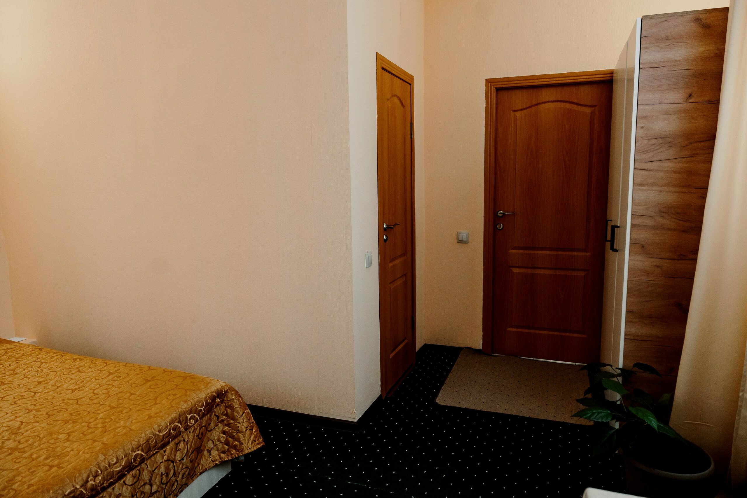 Двухместный номер Делюкс с 1 кроватью