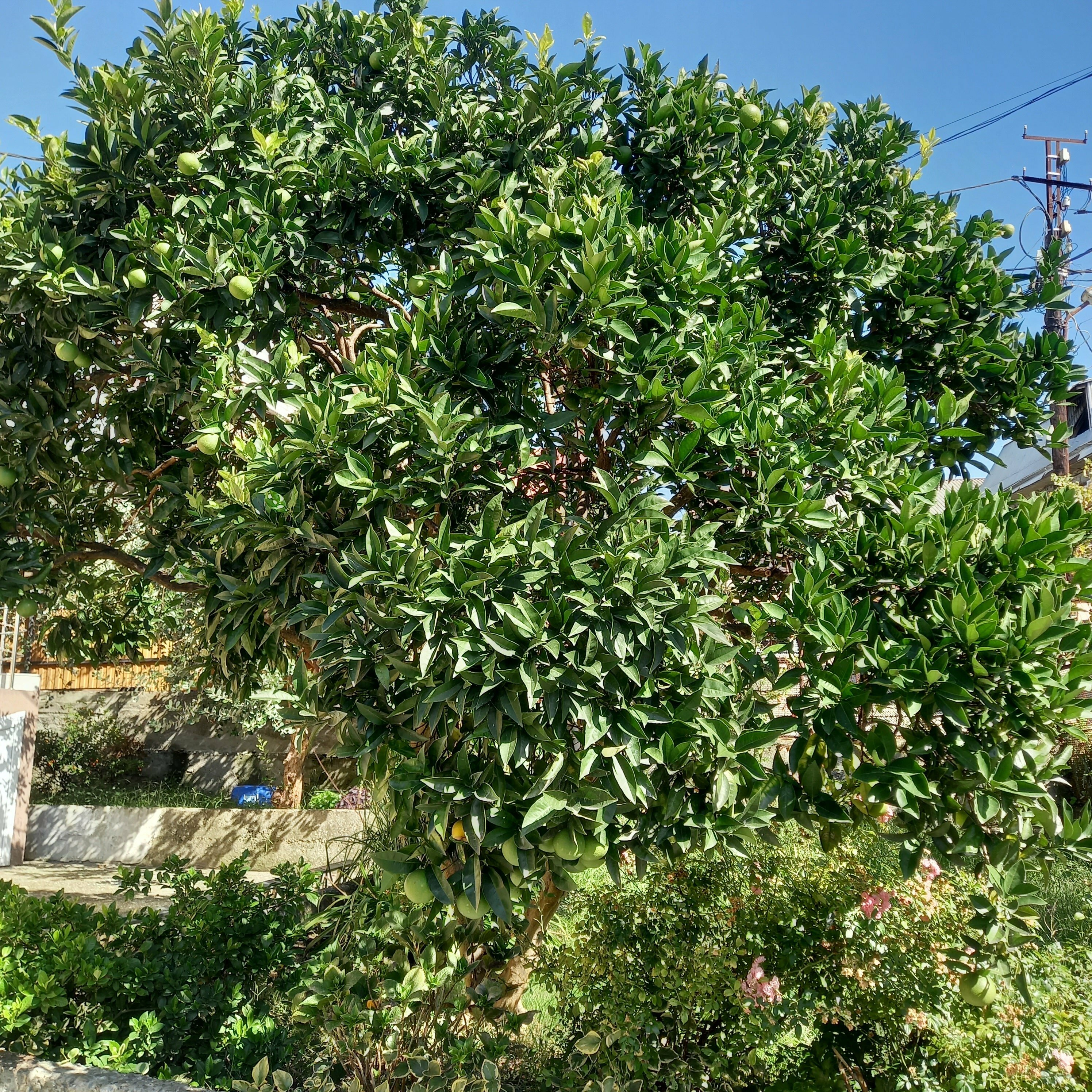 Двухместный номер эконом-класса с 1 кроватью