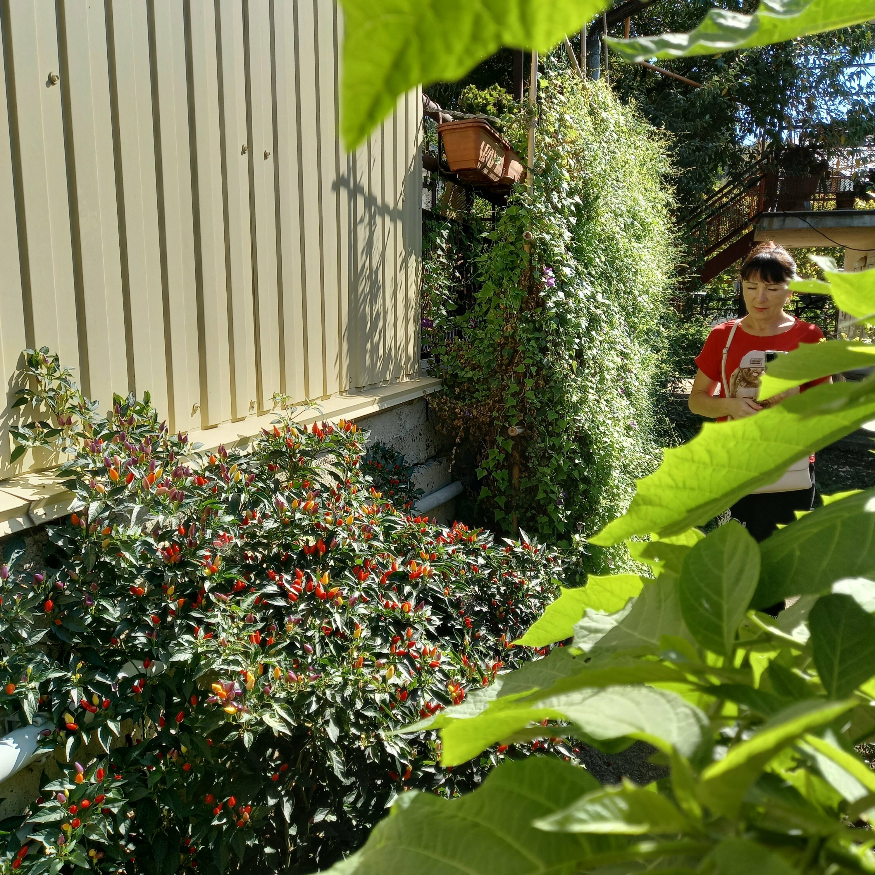 Двухместный номер эконом-класса с 1 кроватью