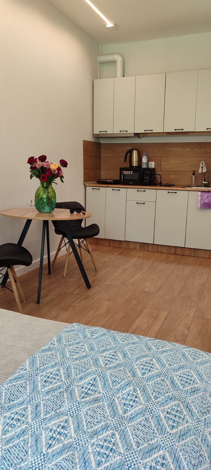 Двухместный номер с 1 кроватью и видом на парк