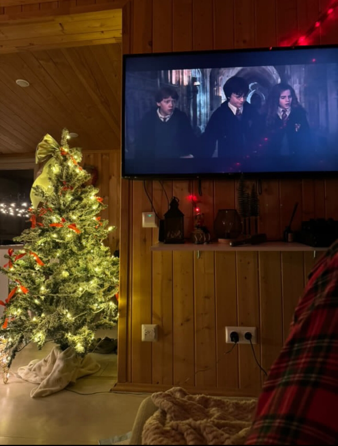 Дом с видом на лес