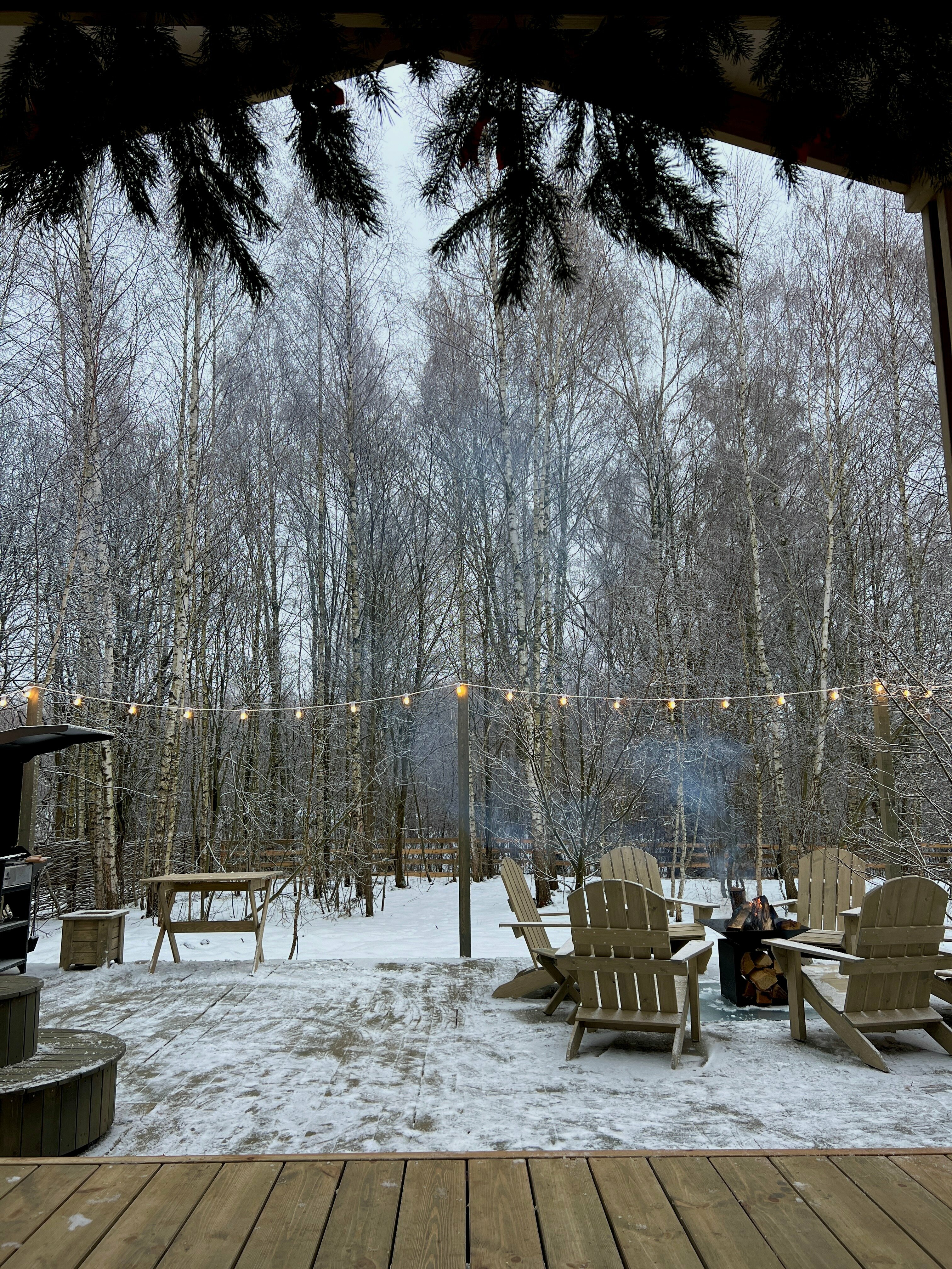 Дом с видом на лес