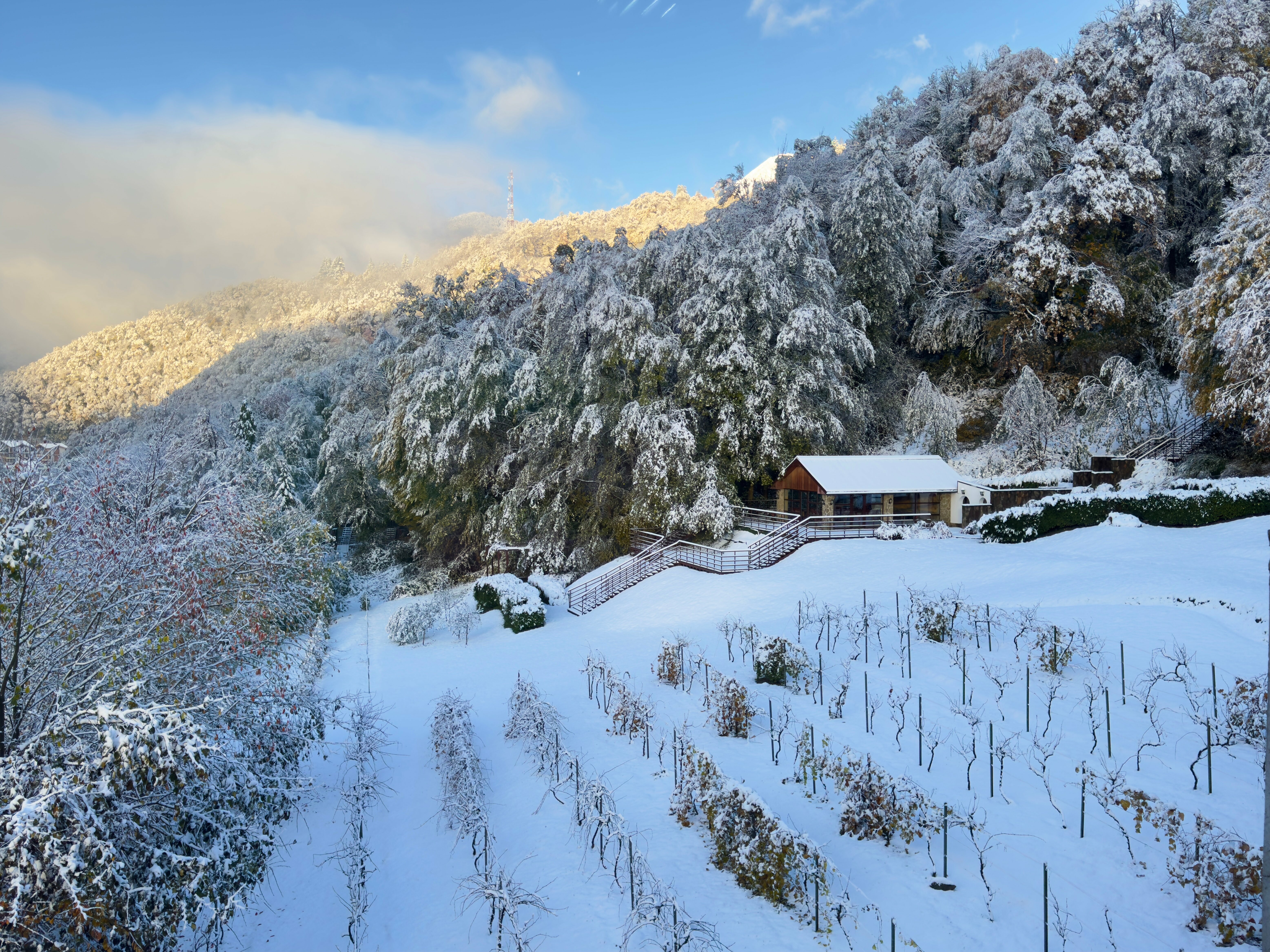 Номер Делюкс с кроватью размера «king-size»