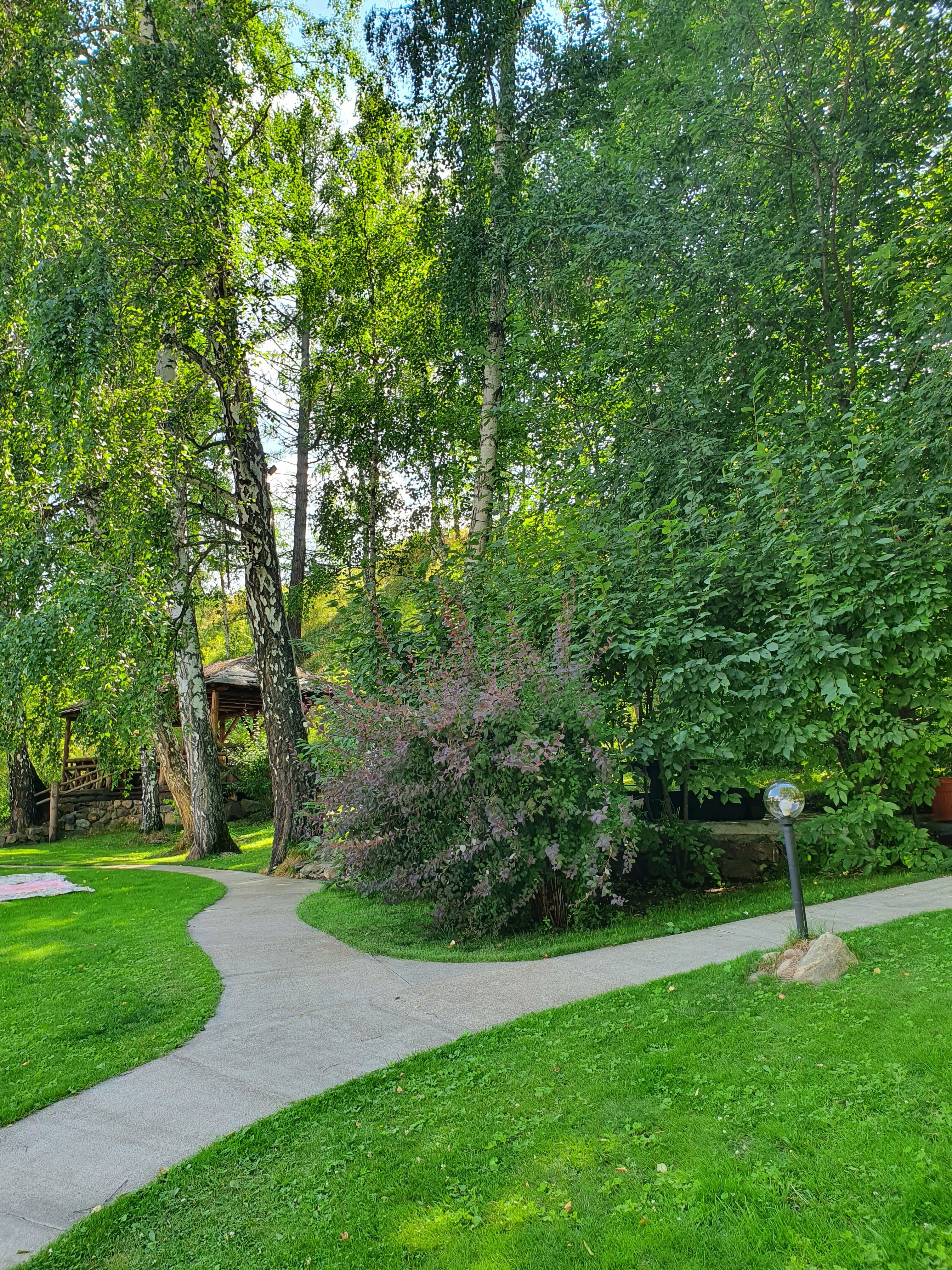 Двухместный стандарт