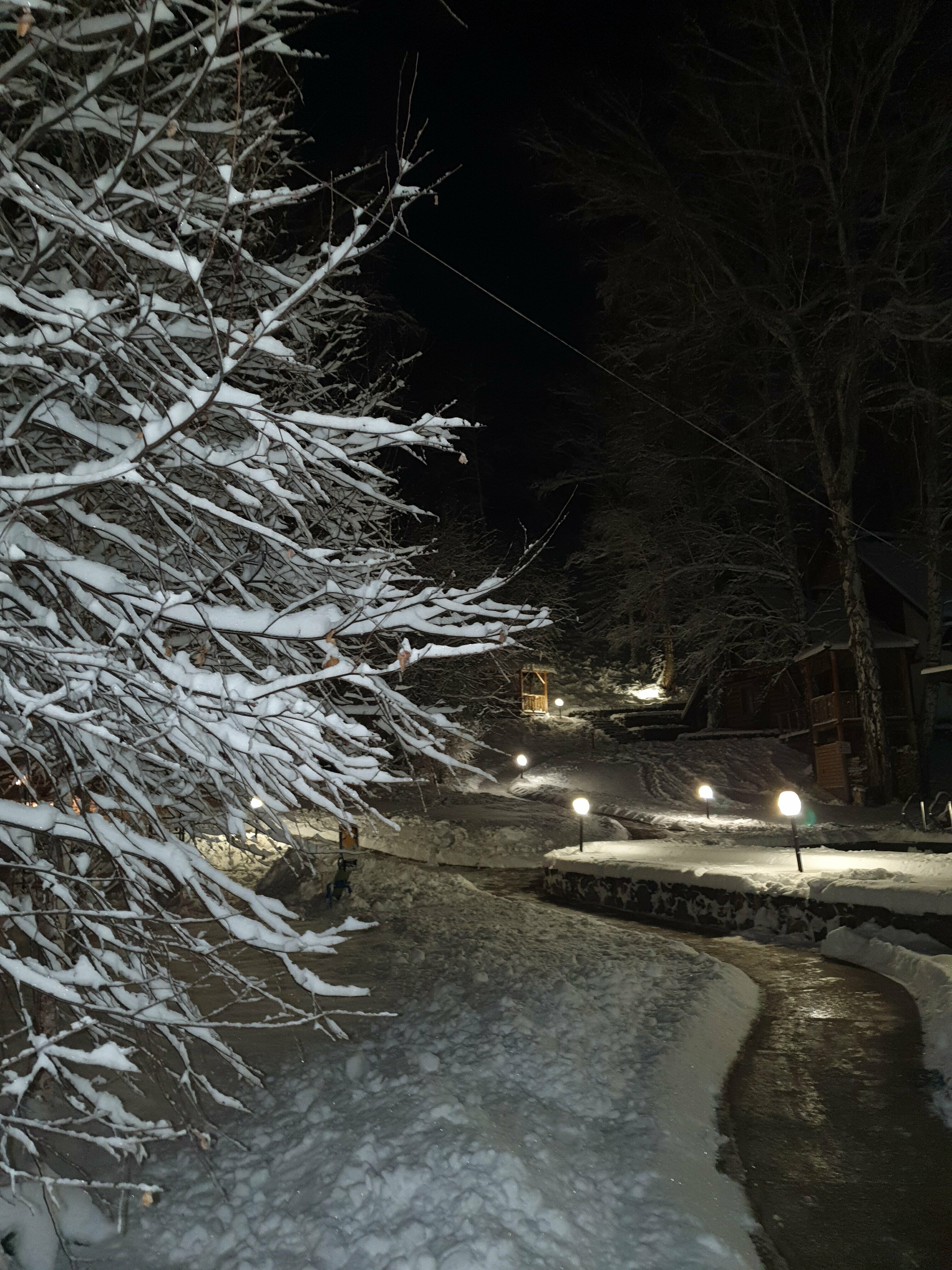 Двухместный стандарт