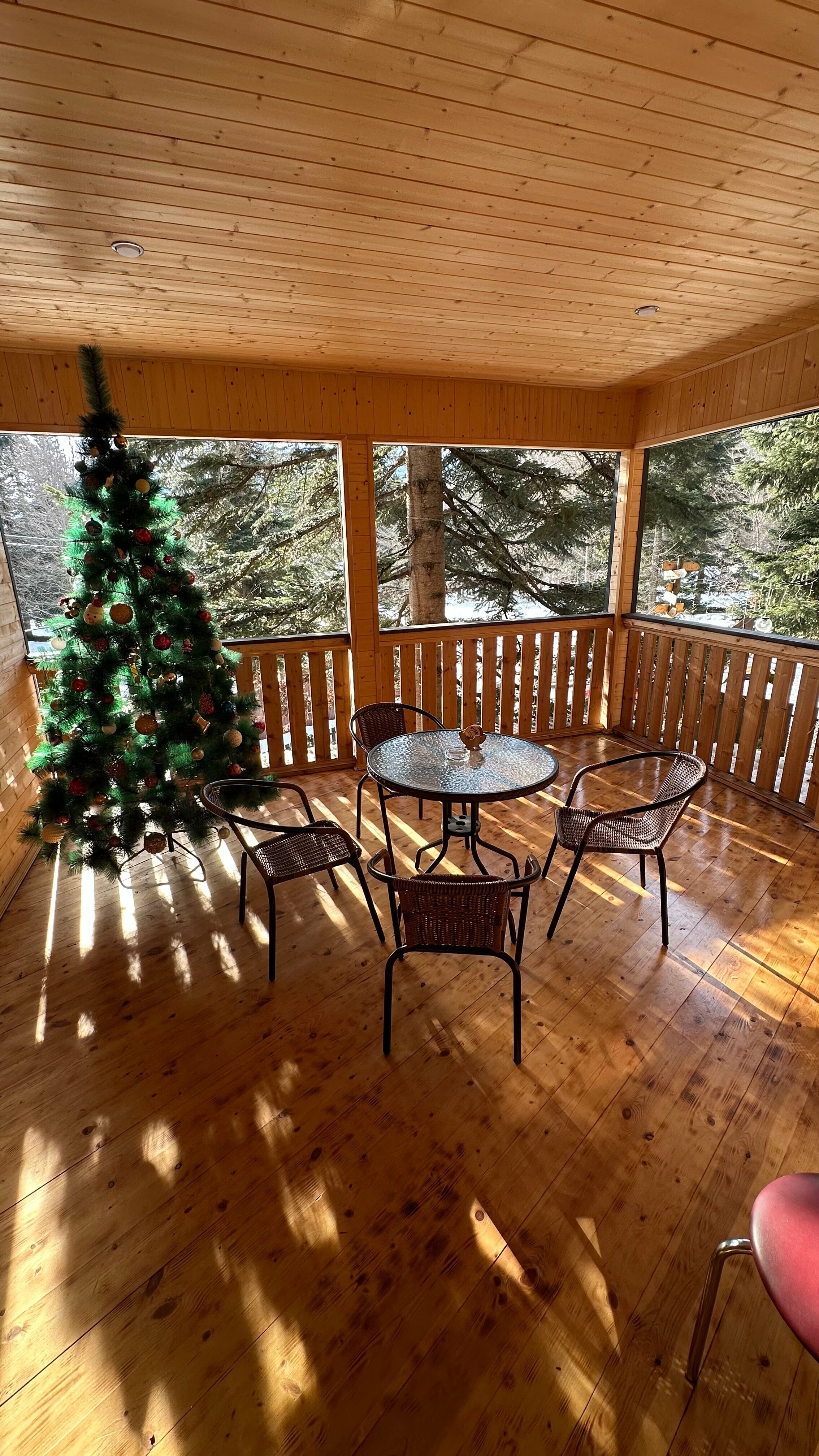 Апартаменты с террасой