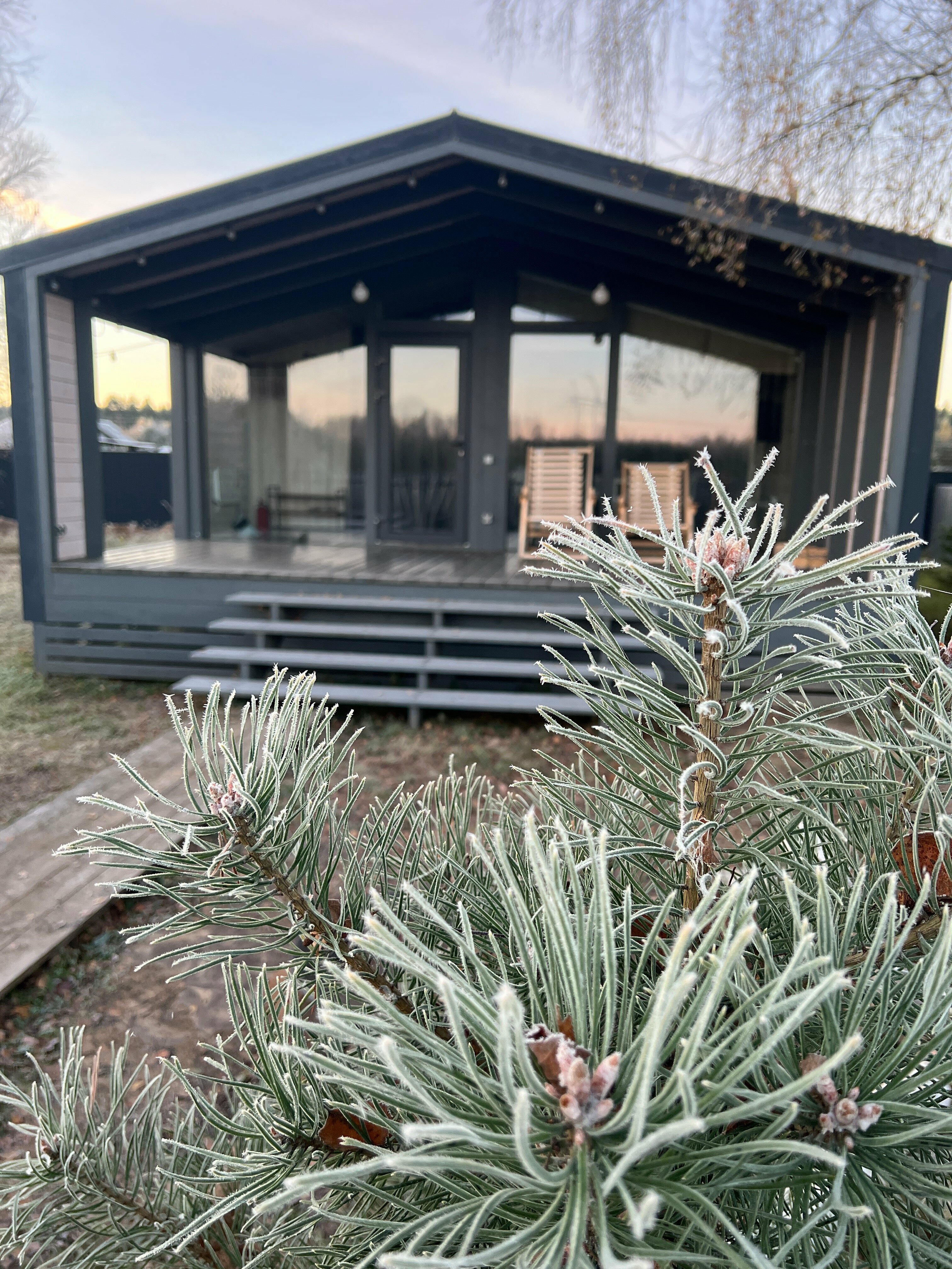 Коттедж с видом на лес