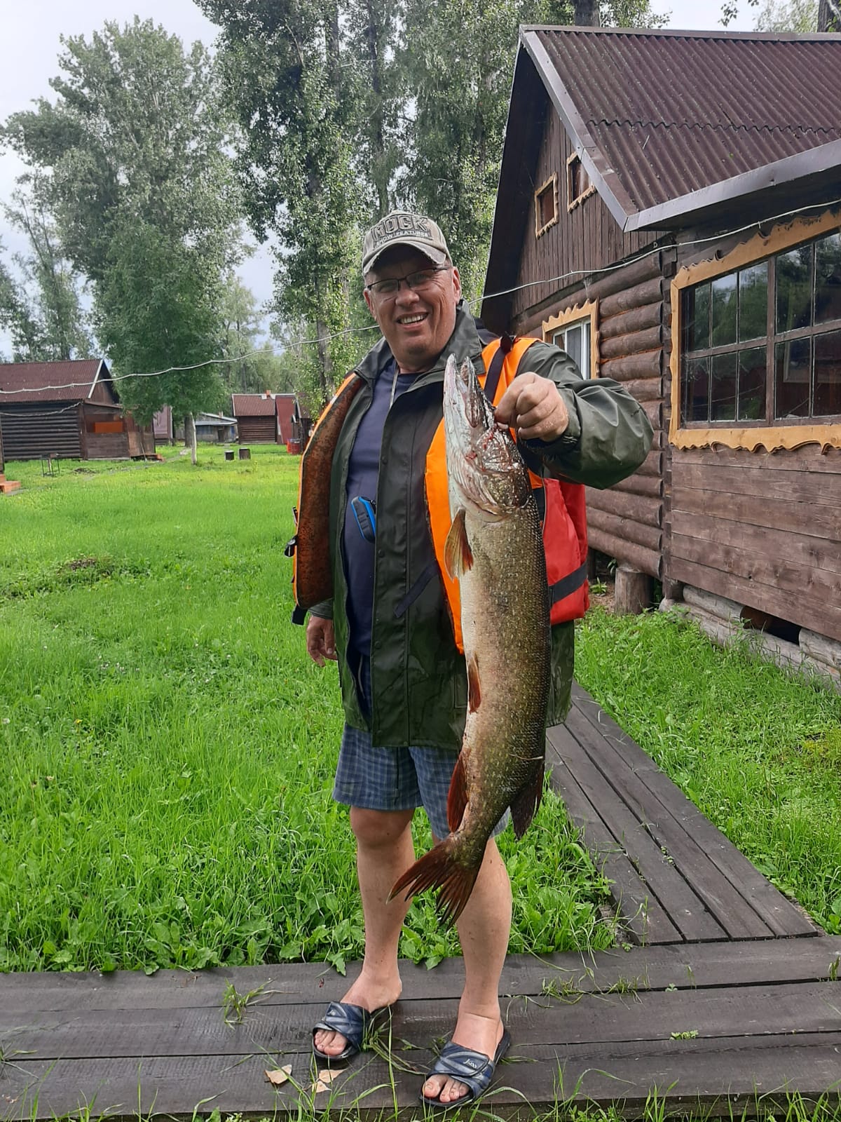 Дом с видом на лес