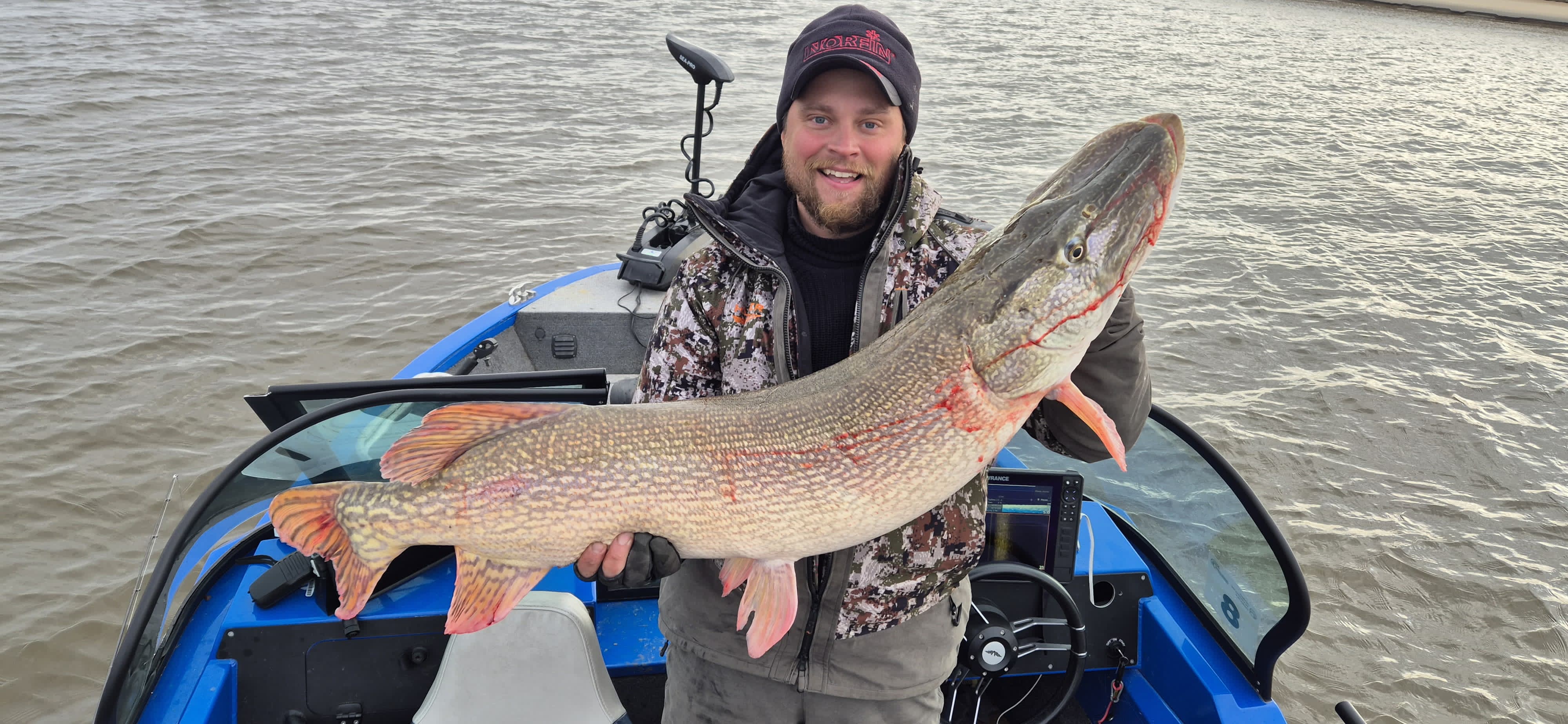 Дом с видом на лес