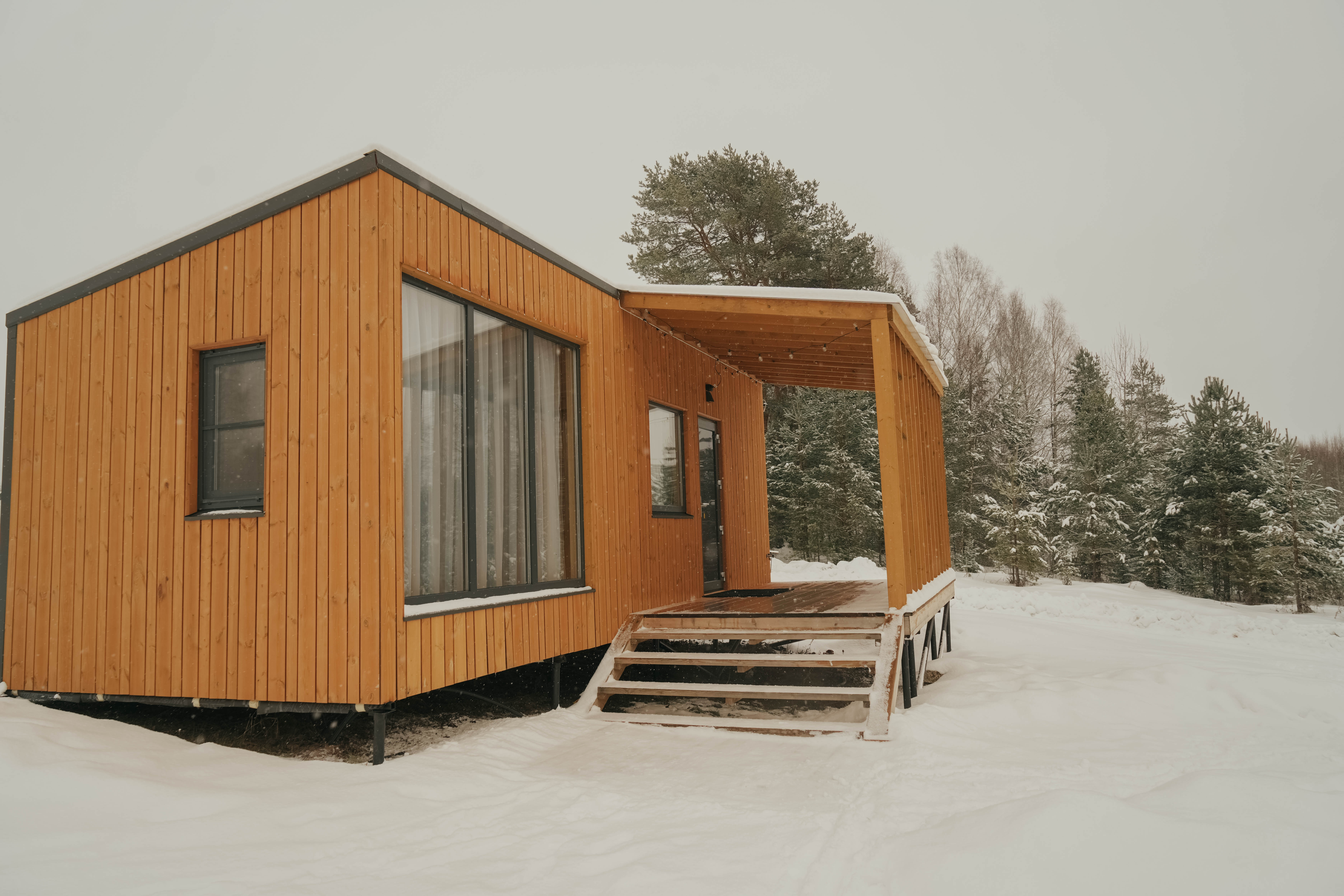 Дом с видом на лес