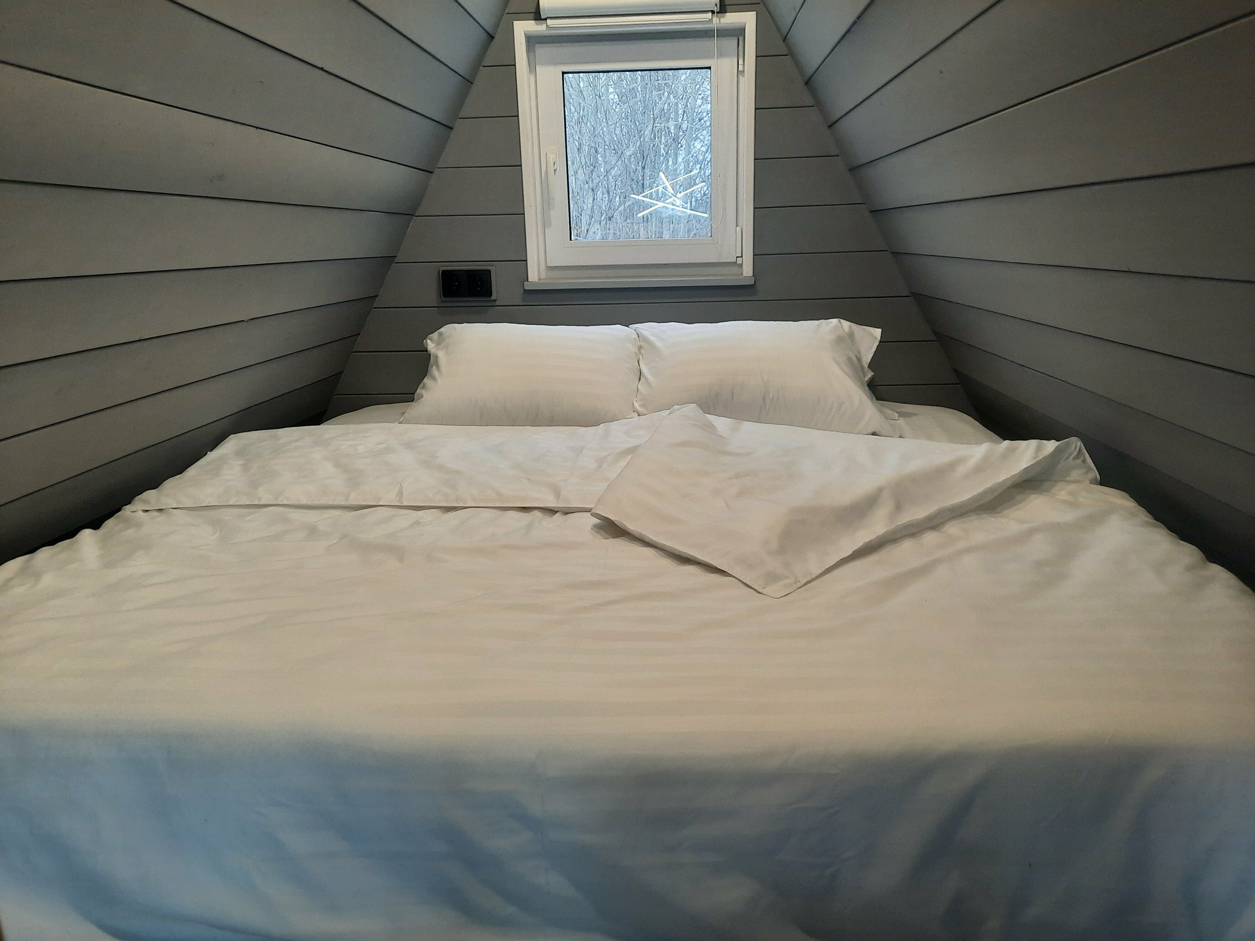 Дом с видом на лес