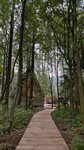 Классический четырехместный номер в Море